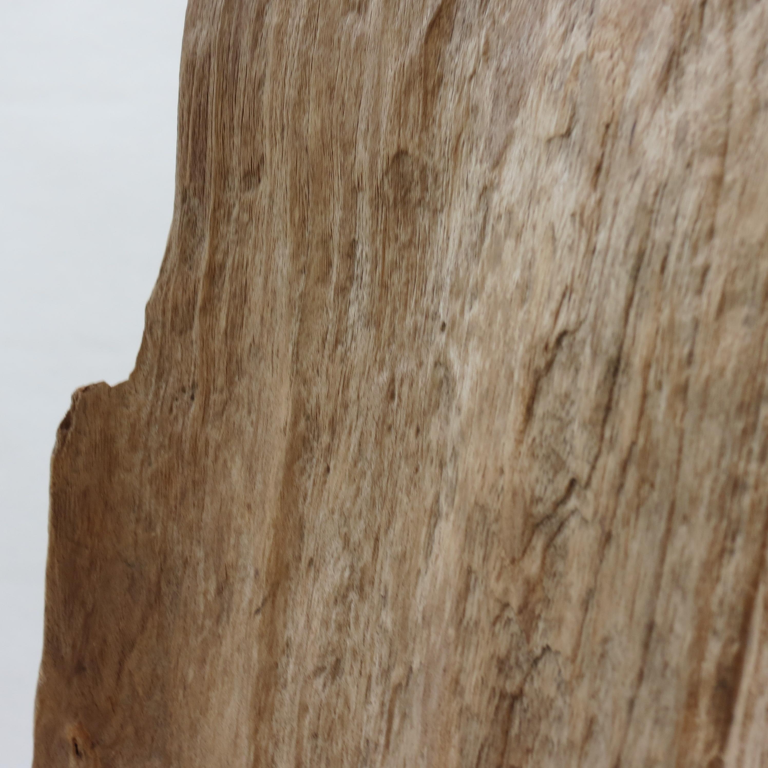 Large Teak Wood Natural Sculpture Organic Form 1970 For Sale 7