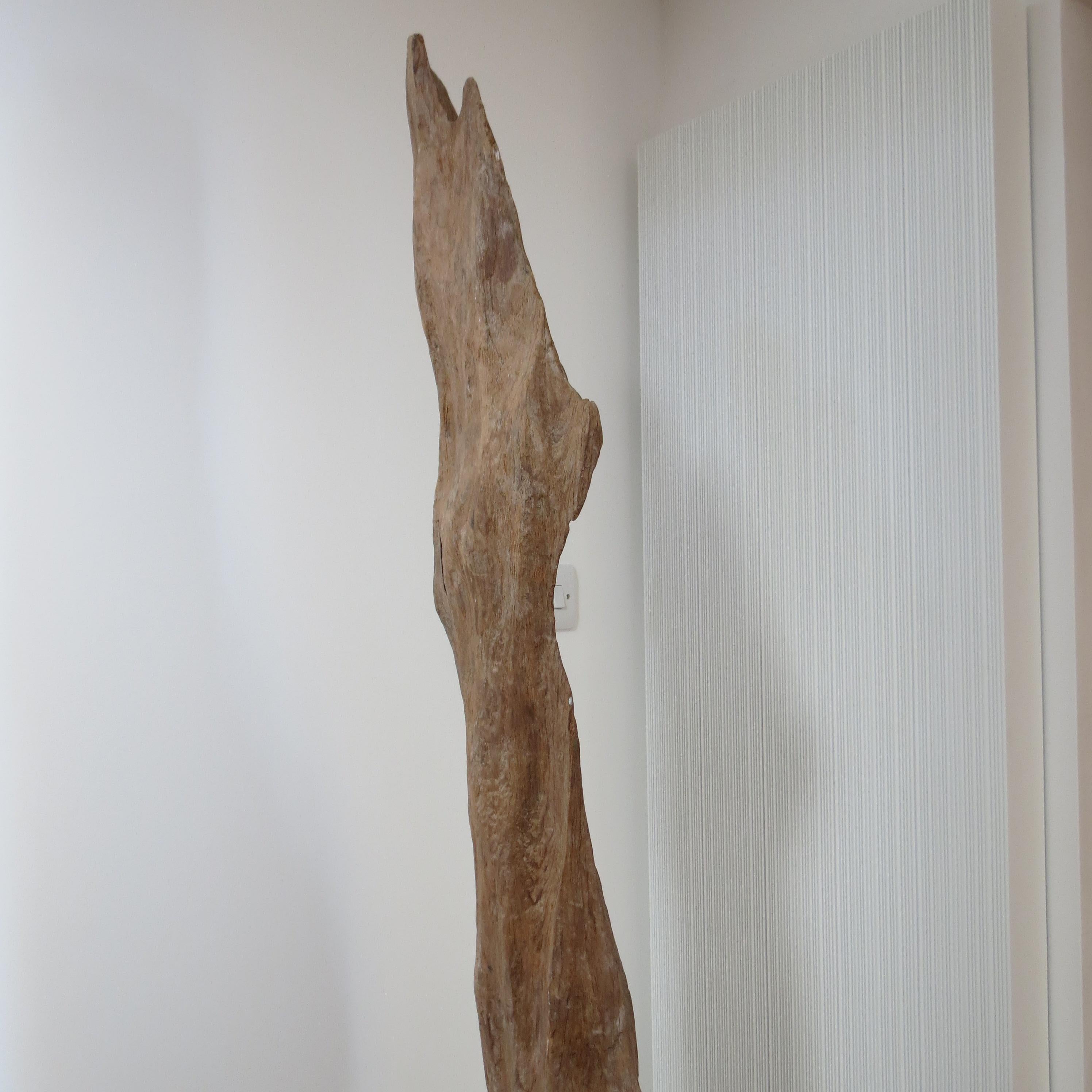 Grande sculpture en bois de teck naturel Forme organique 1970 en vente 7