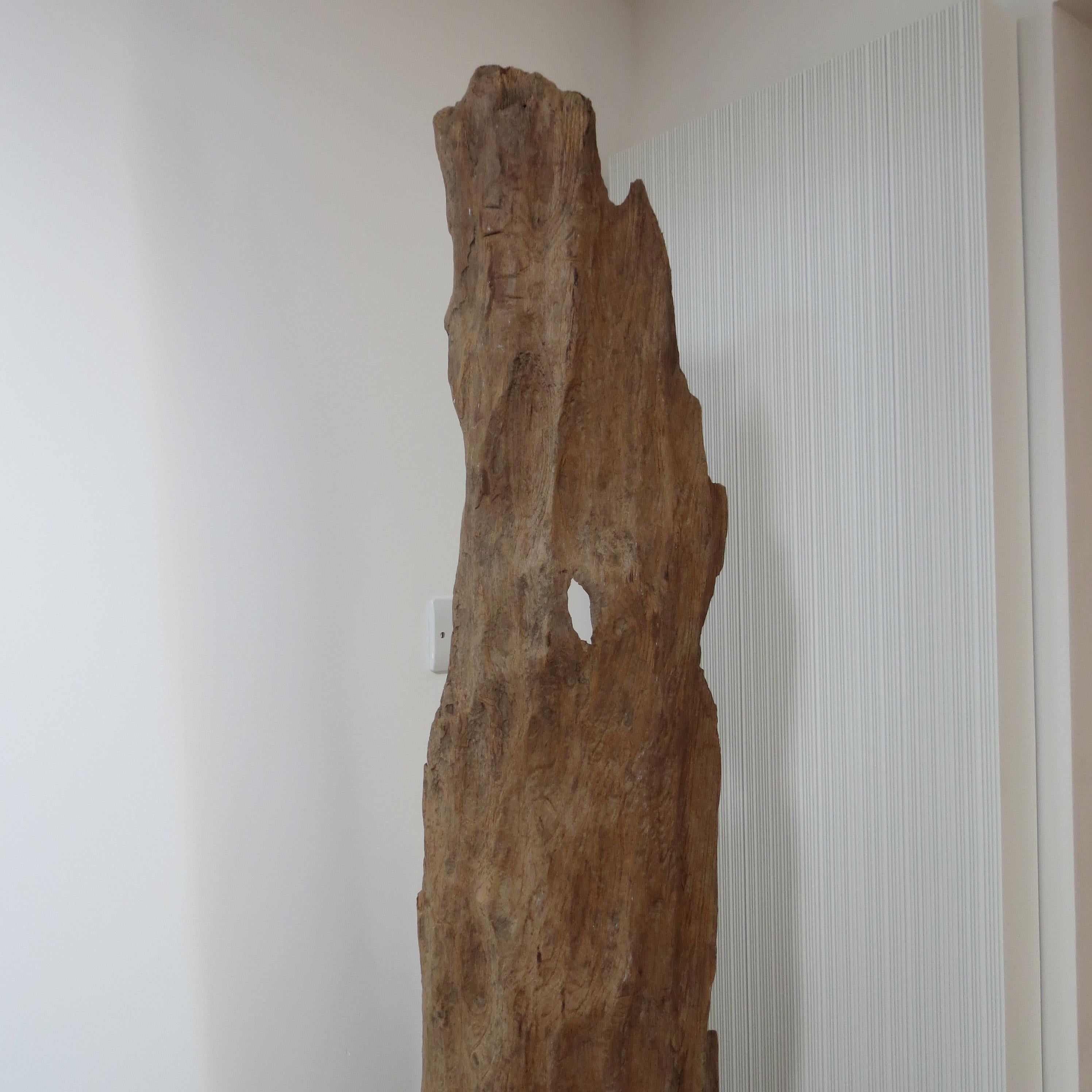 Grande sculpture en bois de teck naturel Forme organique 1970 en vente 8