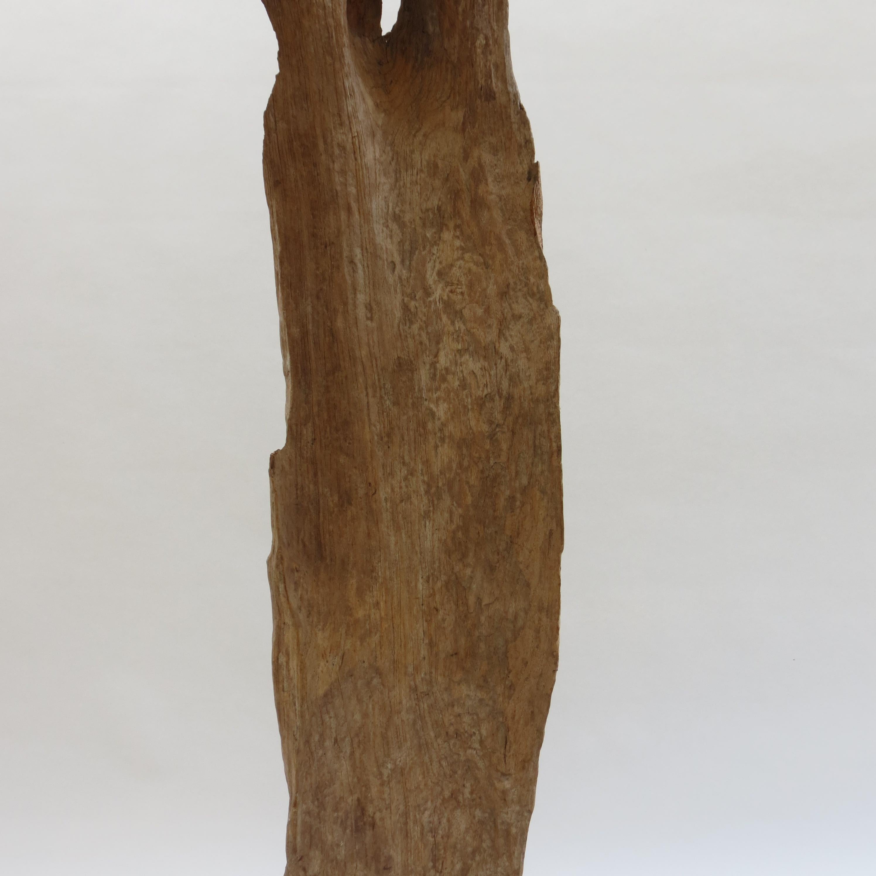 Large Teak Wood Natural Sculpture Organic Form 1970 For Sale 9