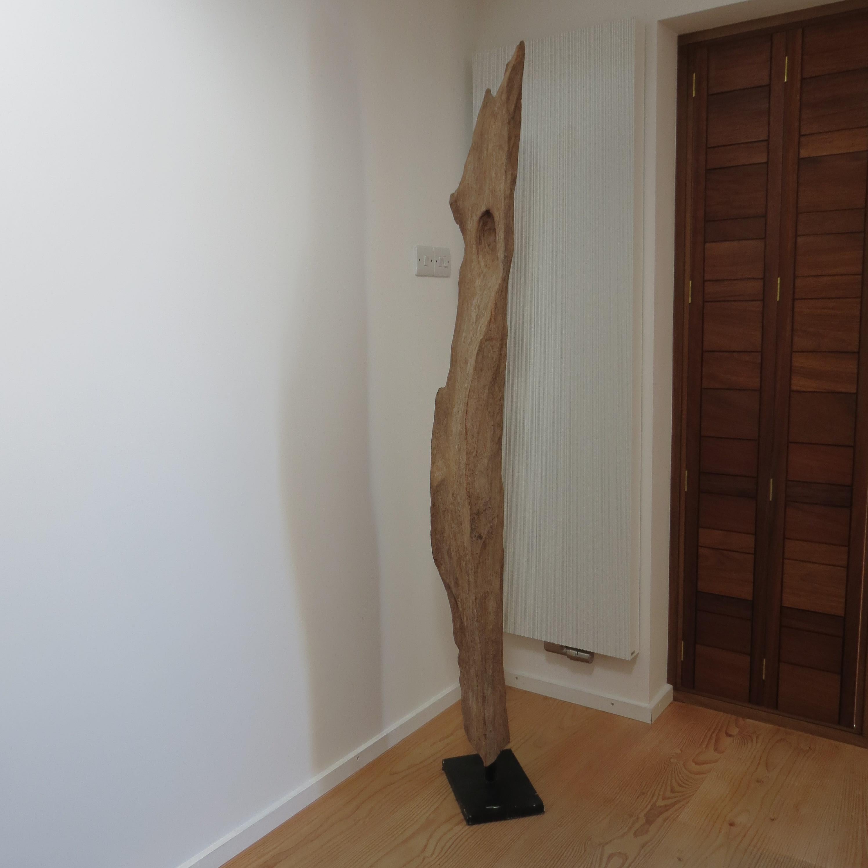 Grande sculpture en bois de teck naturel Forme organique 1970 en vente 9