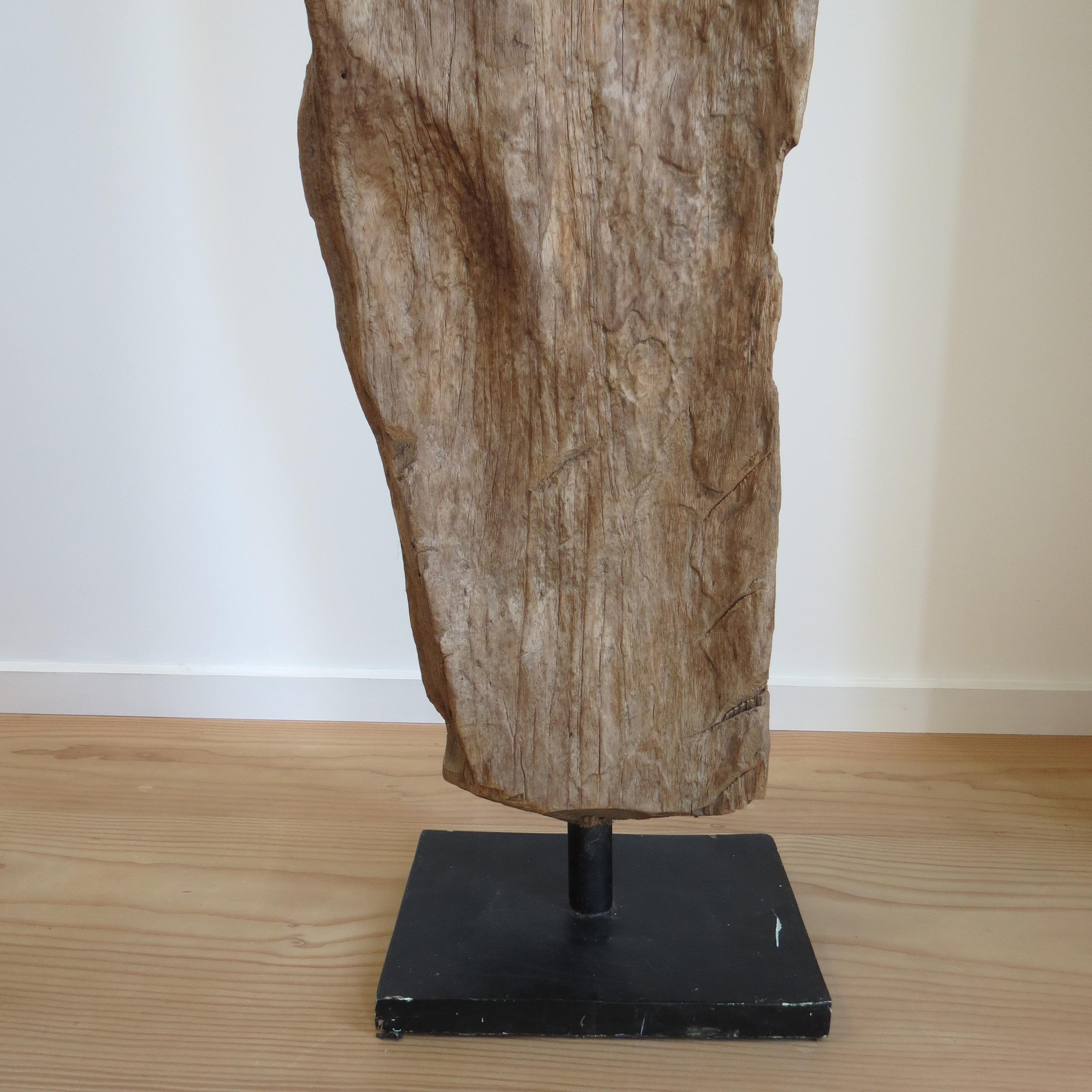 Merveilleuse sculpture en teck naturel de forme organique.  

Le magnifique bois de teck a été altéré au fil du temps, probablement sur une période d'au moins 100 ans, et a été monté sur un support métallique dans les années 1970.  Le bois a pris