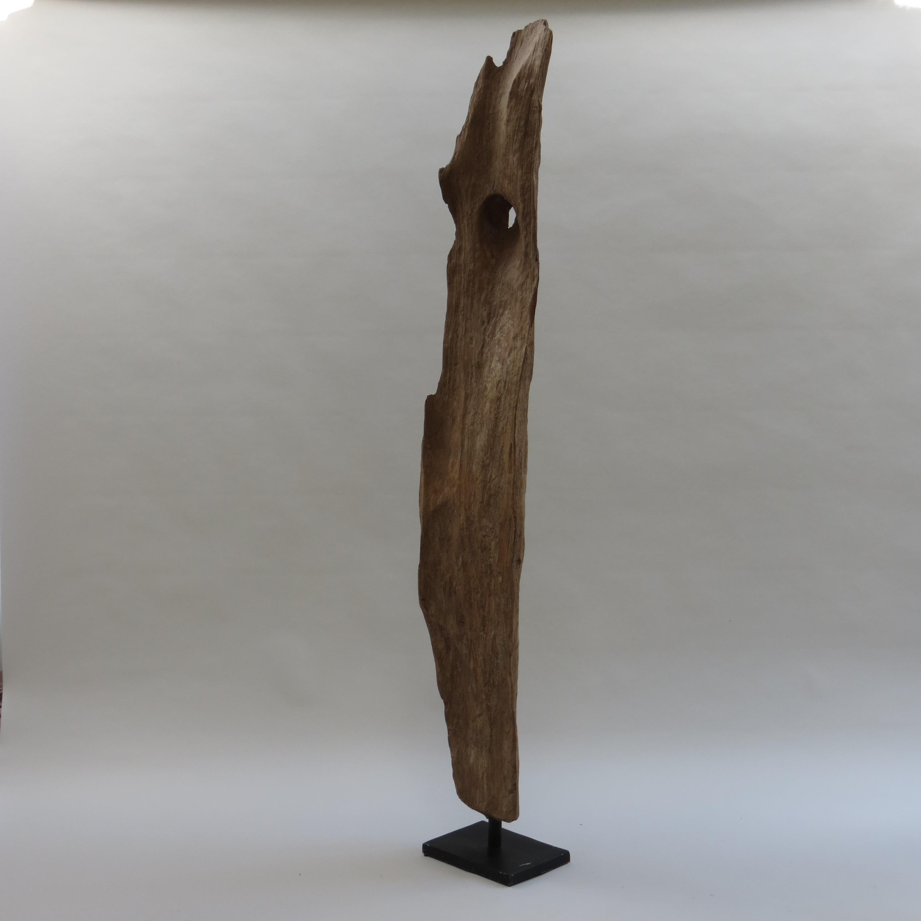 Wonderful natural Teak organic form sculpture.  

The beautiful Teak wood has been weathered over time, probably a period of 100 years at least and has been mounted on a metal stand in the 1970s.  The wood has naturally weathered to a wonderful