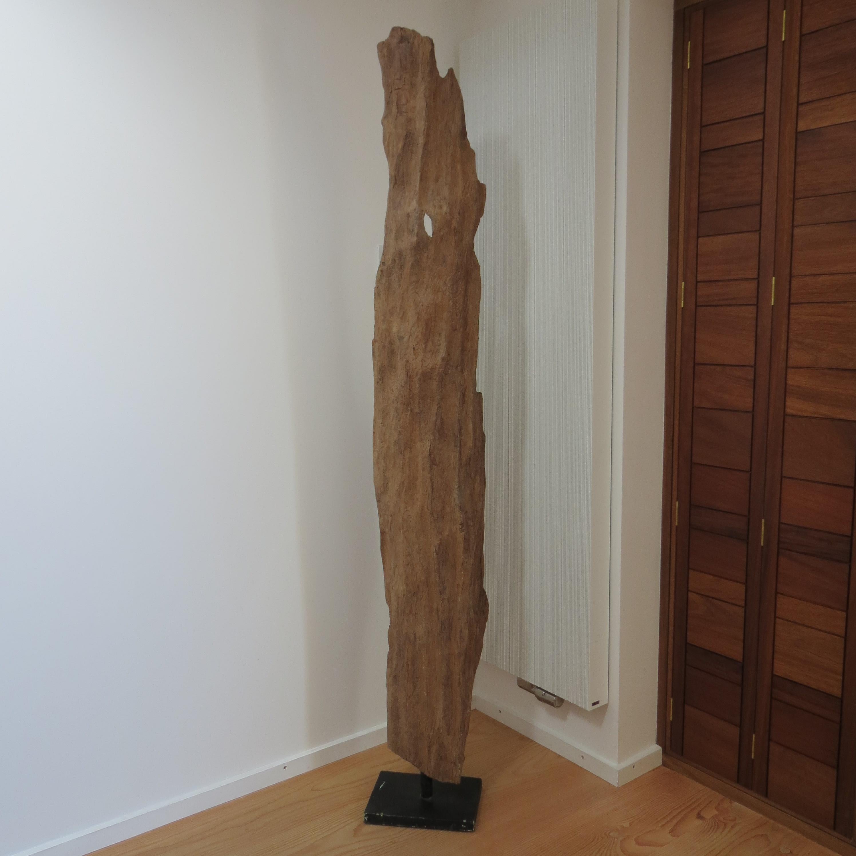 Anglais Grande sculpture en bois de teck naturel Forme organique 1970 en vente