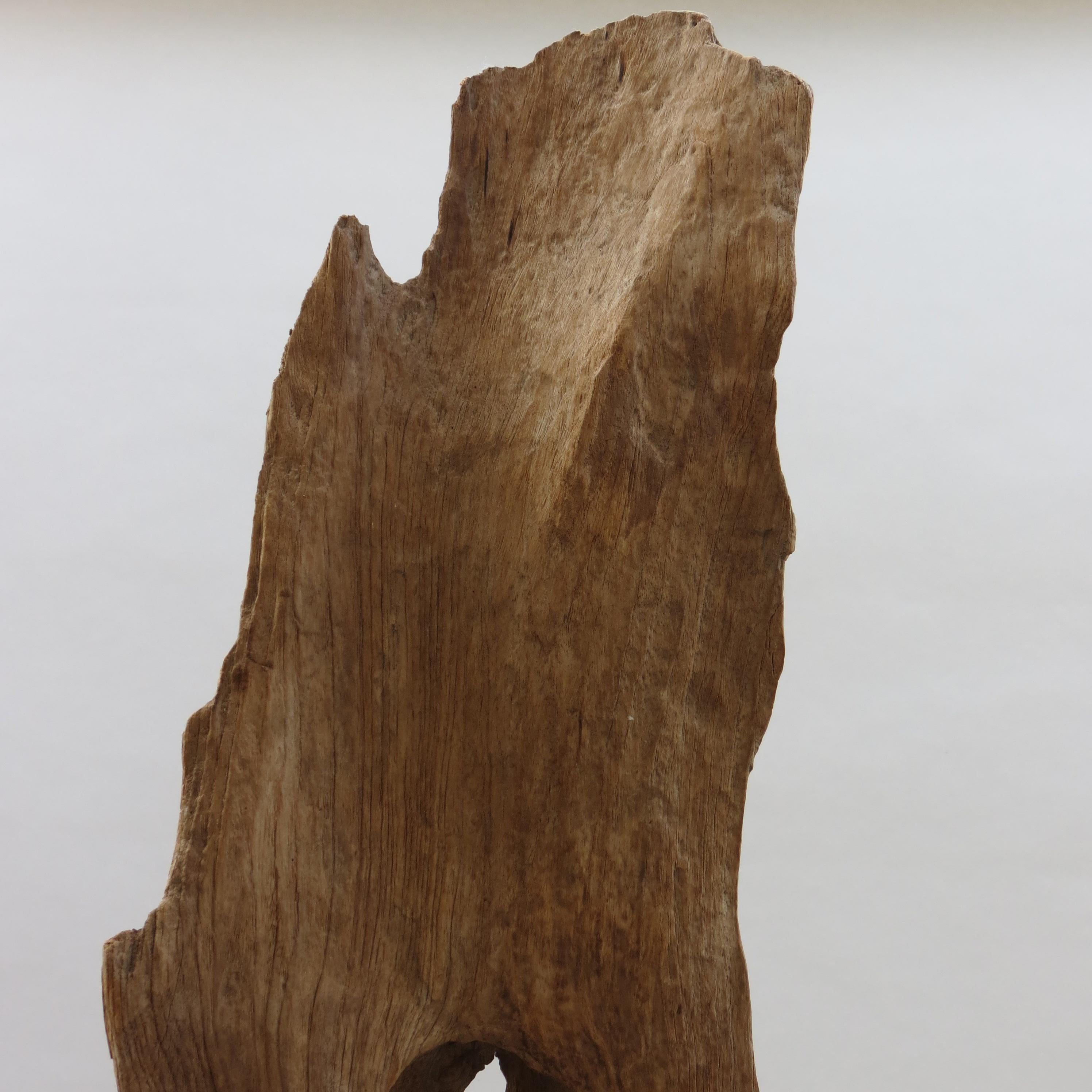 Hand-Crafted Large Teak Wood Natural Sculpture Organic Form 1970 For Sale