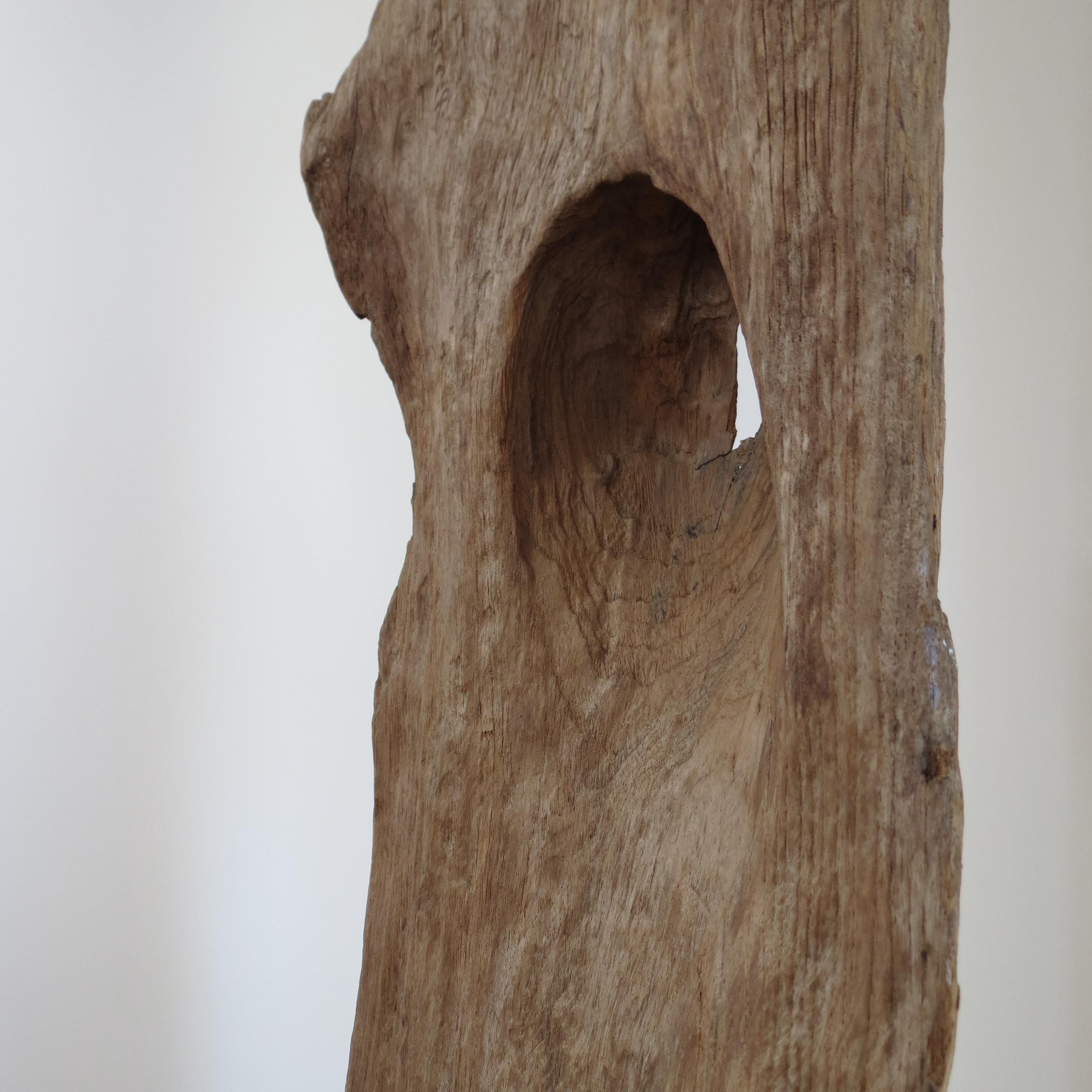 Grande sculpture en bois de teck naturel Forme organique 1970 Bon état - En vente à Stow on the Wold, GB