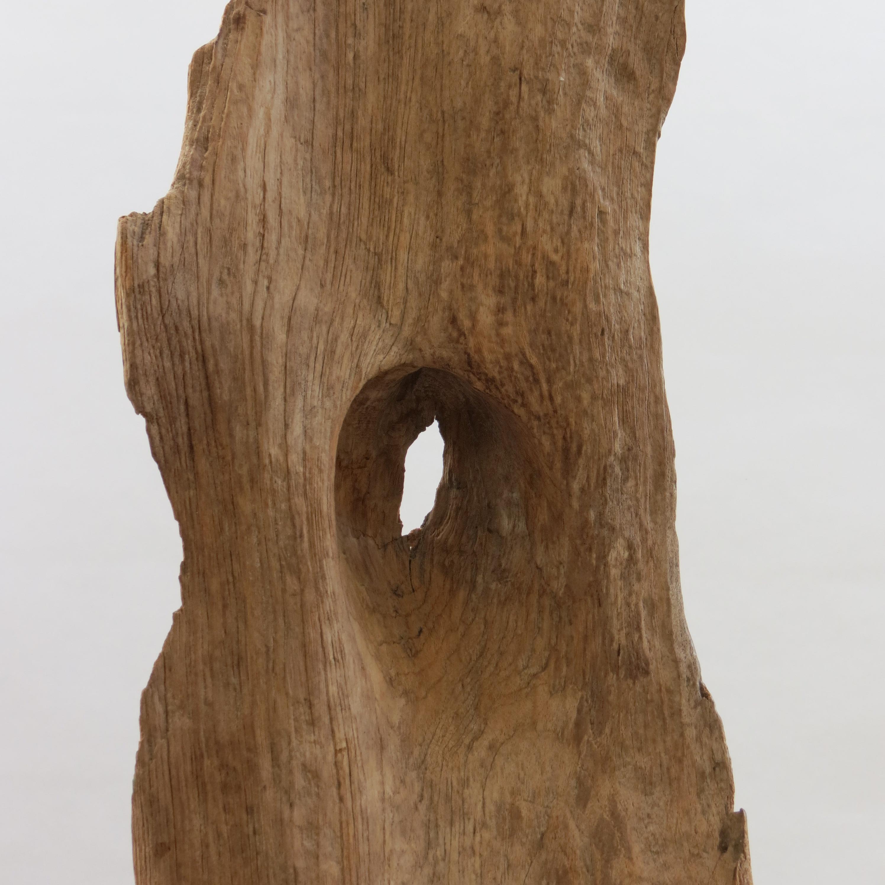 Large Teak Wood Natural Sculpture Organic Form 1970 In Good Condition For Sale In Stow on the Wold, GB