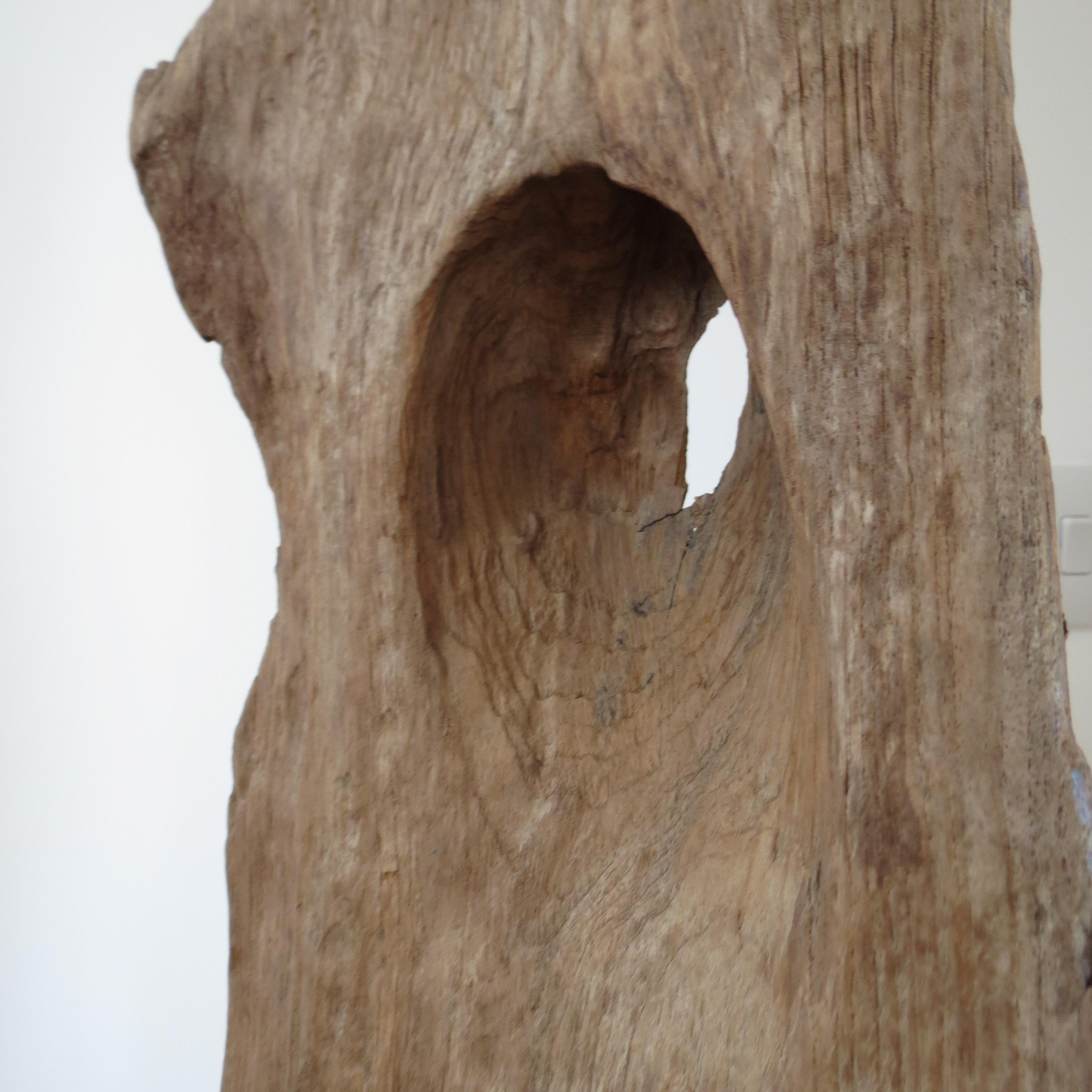 20ième siècle Grande sculpture en bois de teck naturel Forme organique 1970 en vente