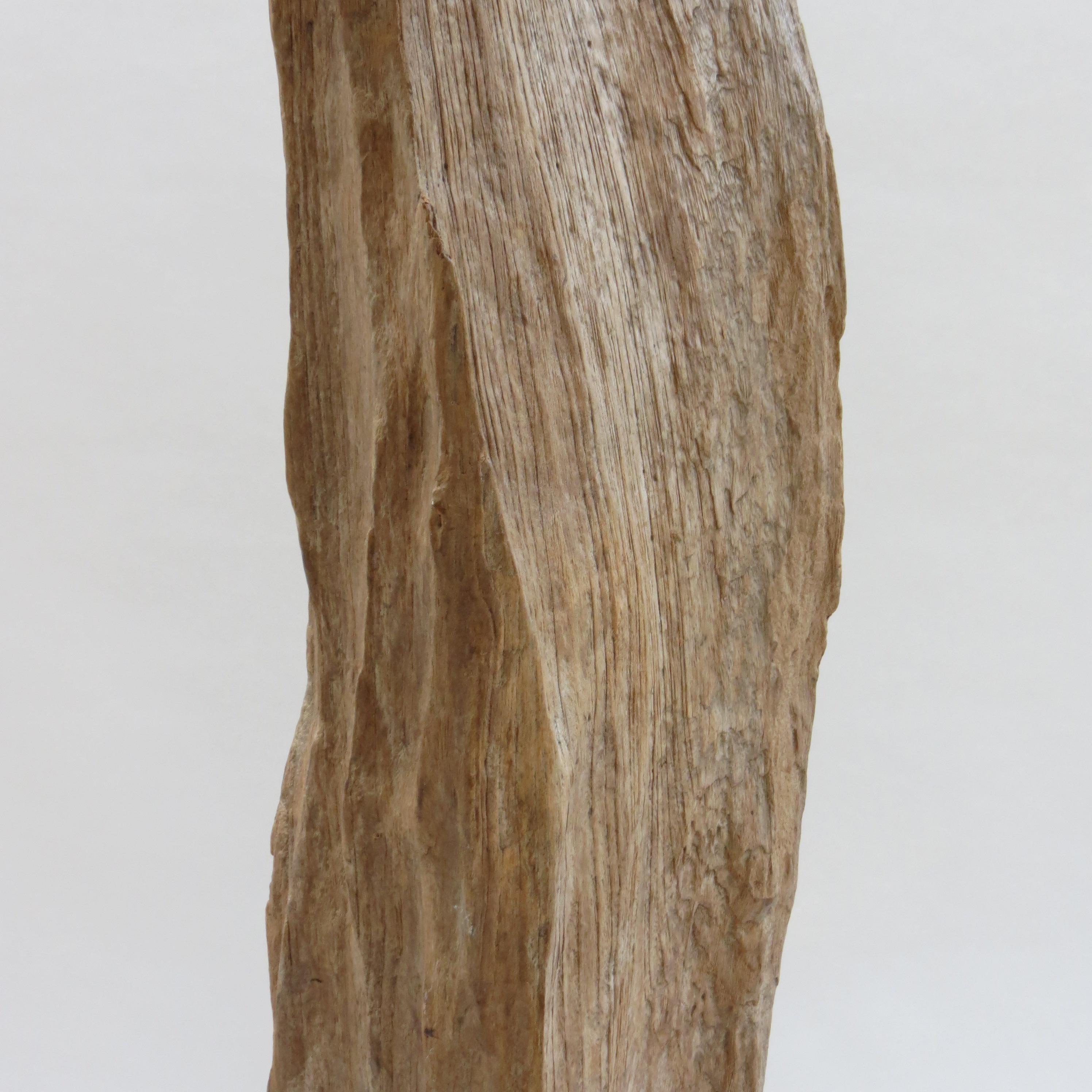 20th Century Large Teak Wood Natural Sculpture Organic Form 1970 For Sale