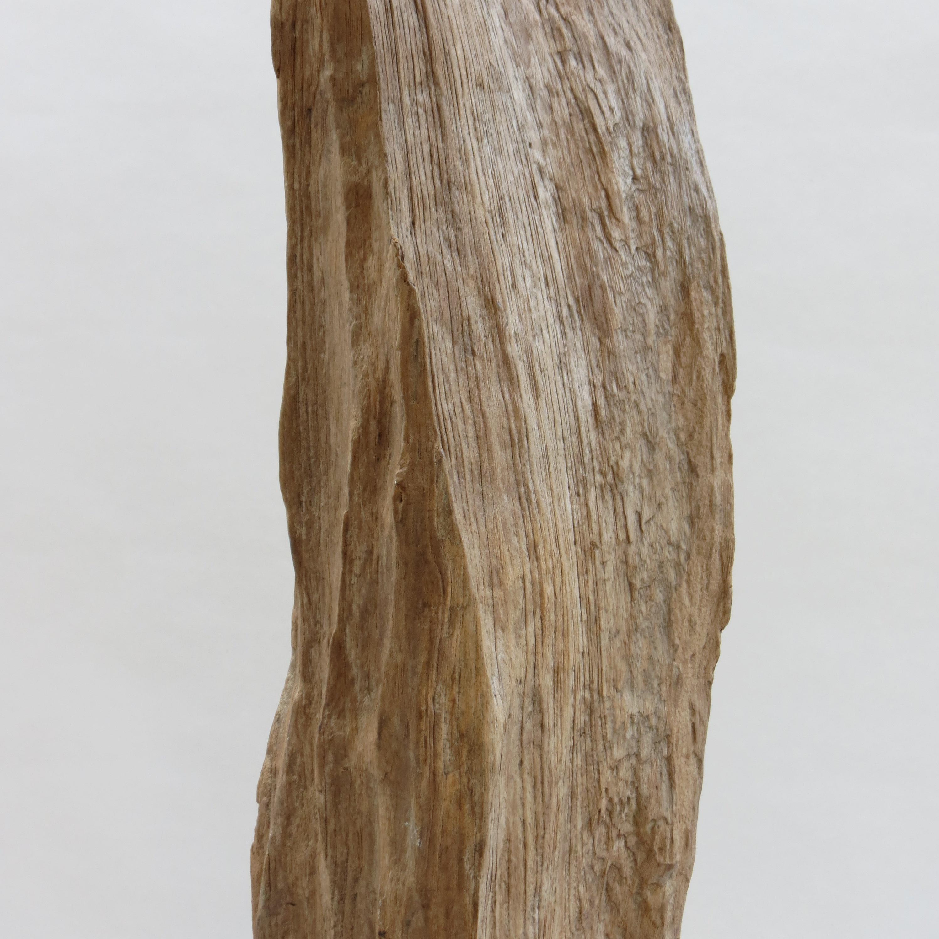Large Teak Wood Natural Sculpture Organic Form 1970 For Sale 1