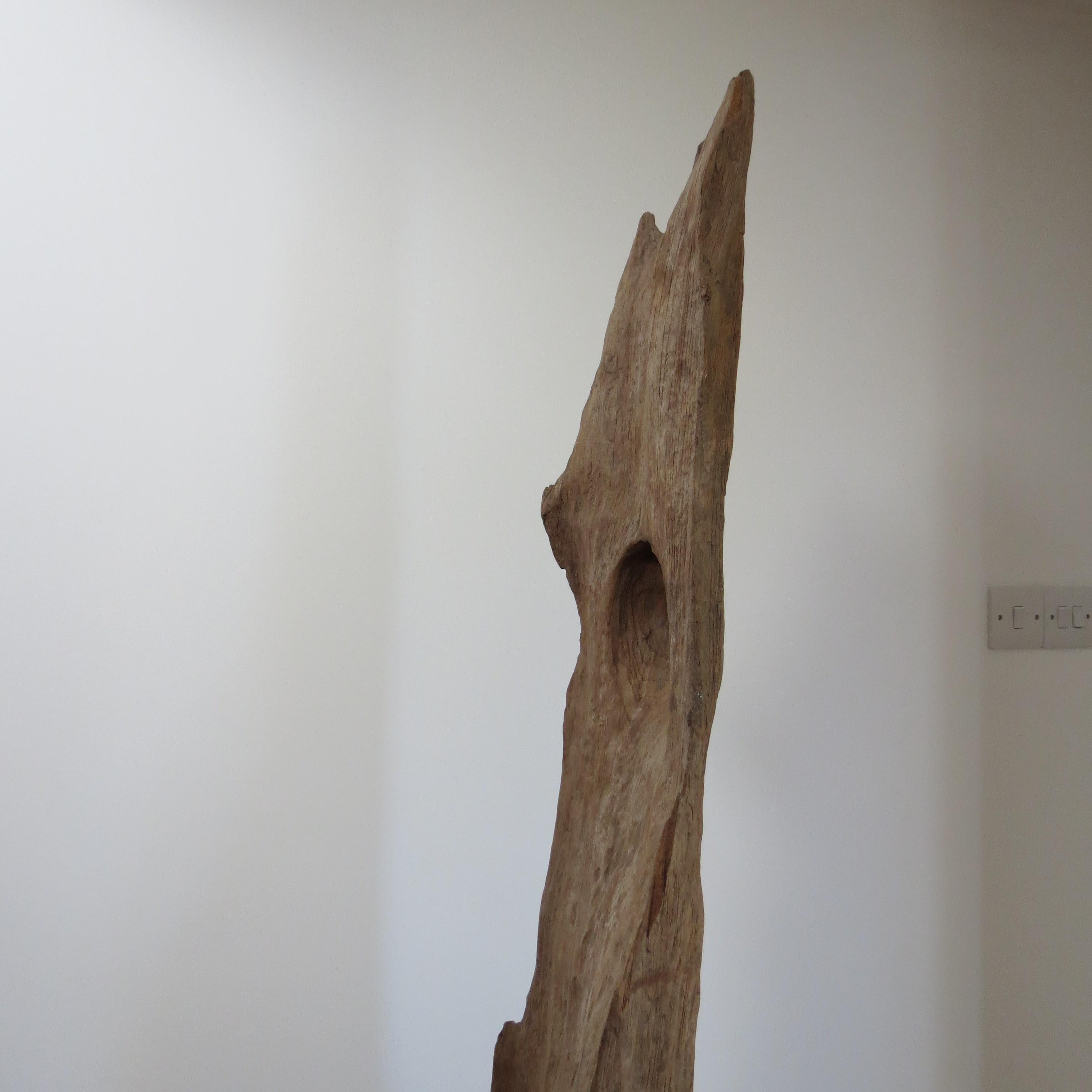 Grande sculpture en bois de teck naturel Forme organique 1970 en vente 1