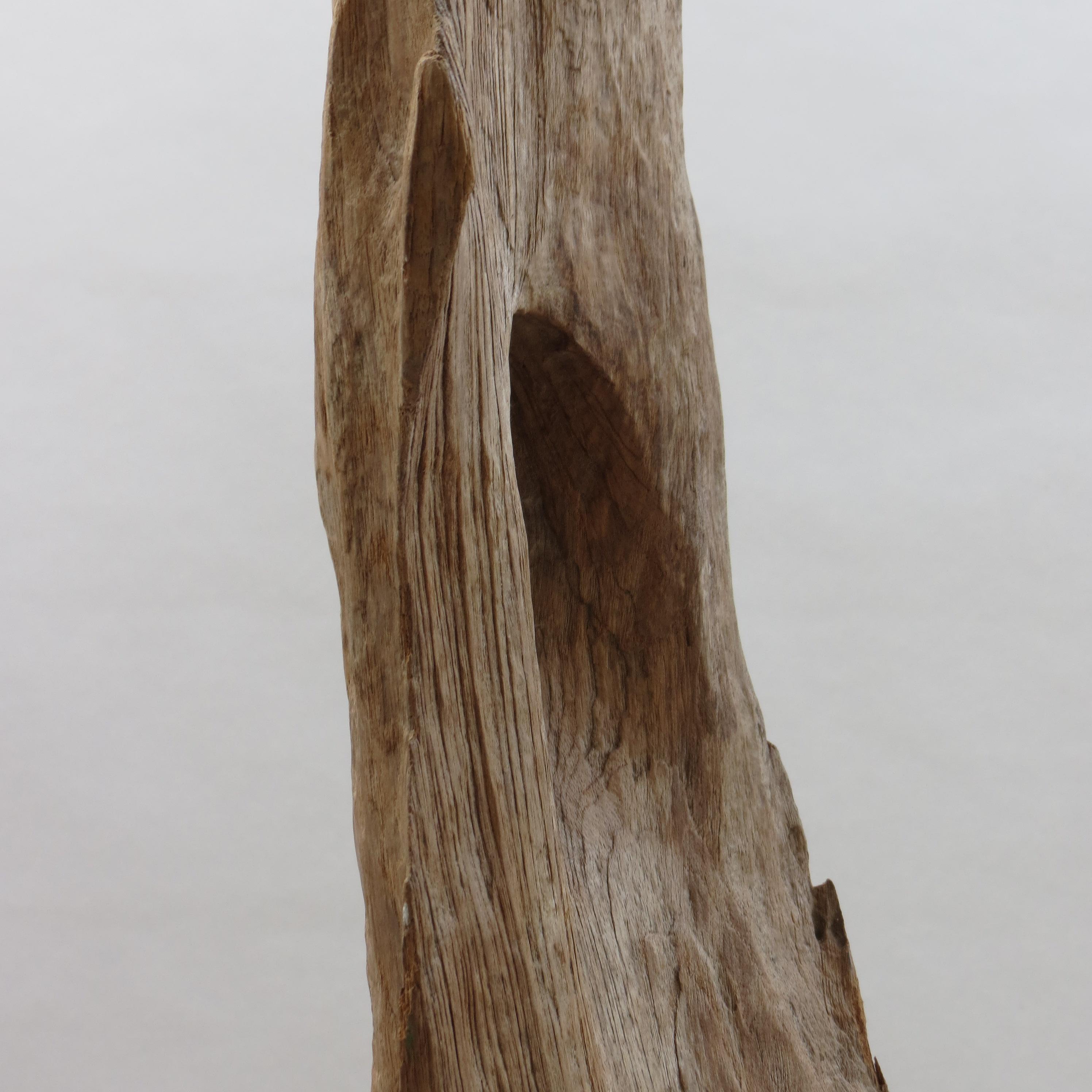 Large Teak Wood Natural Sculpture Organic Form 1970 For Sale 2