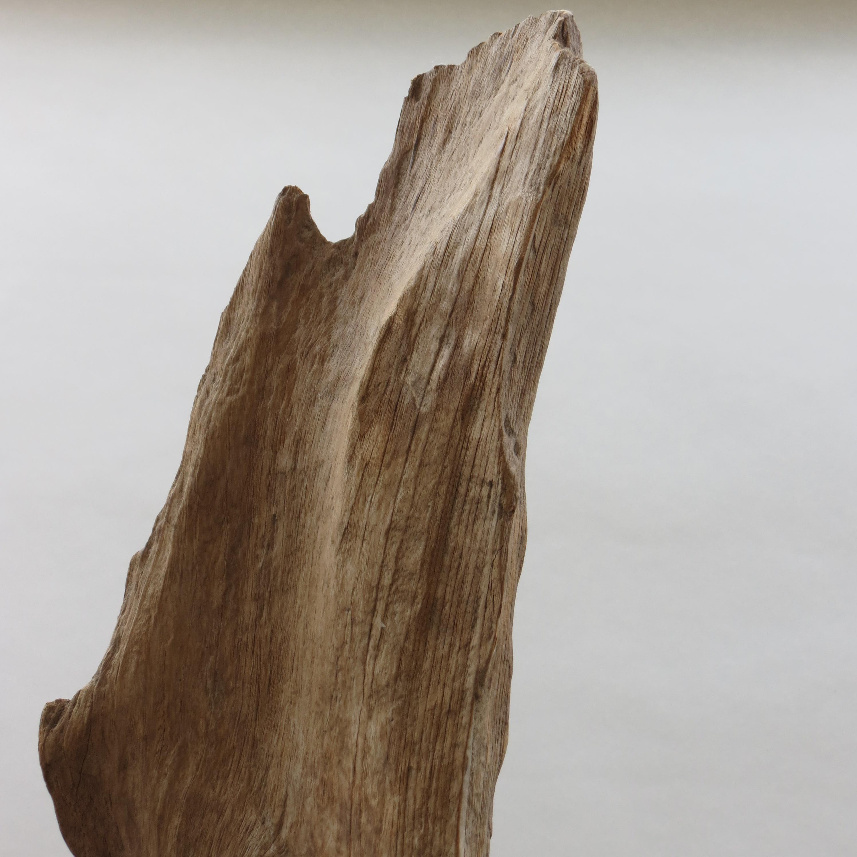 Large Teak Wood Natural Sculpture Organic Form 1970 For Sale 3