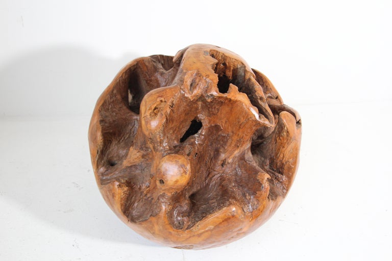 Large Teak Wood Root Hand-Carved Organic Sculpture Sphere For Sale 12