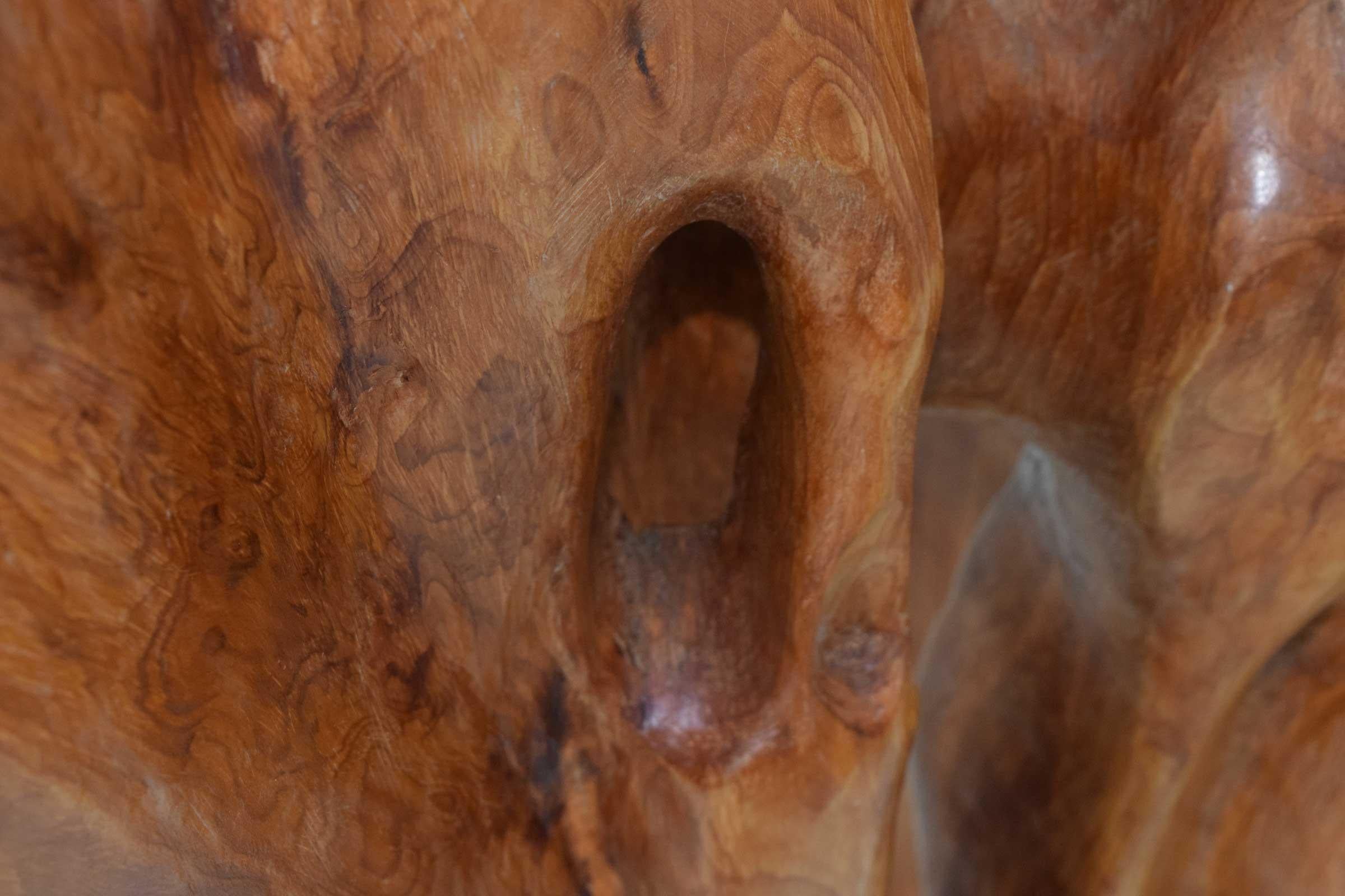 Large Organic Wood Sculpture 5