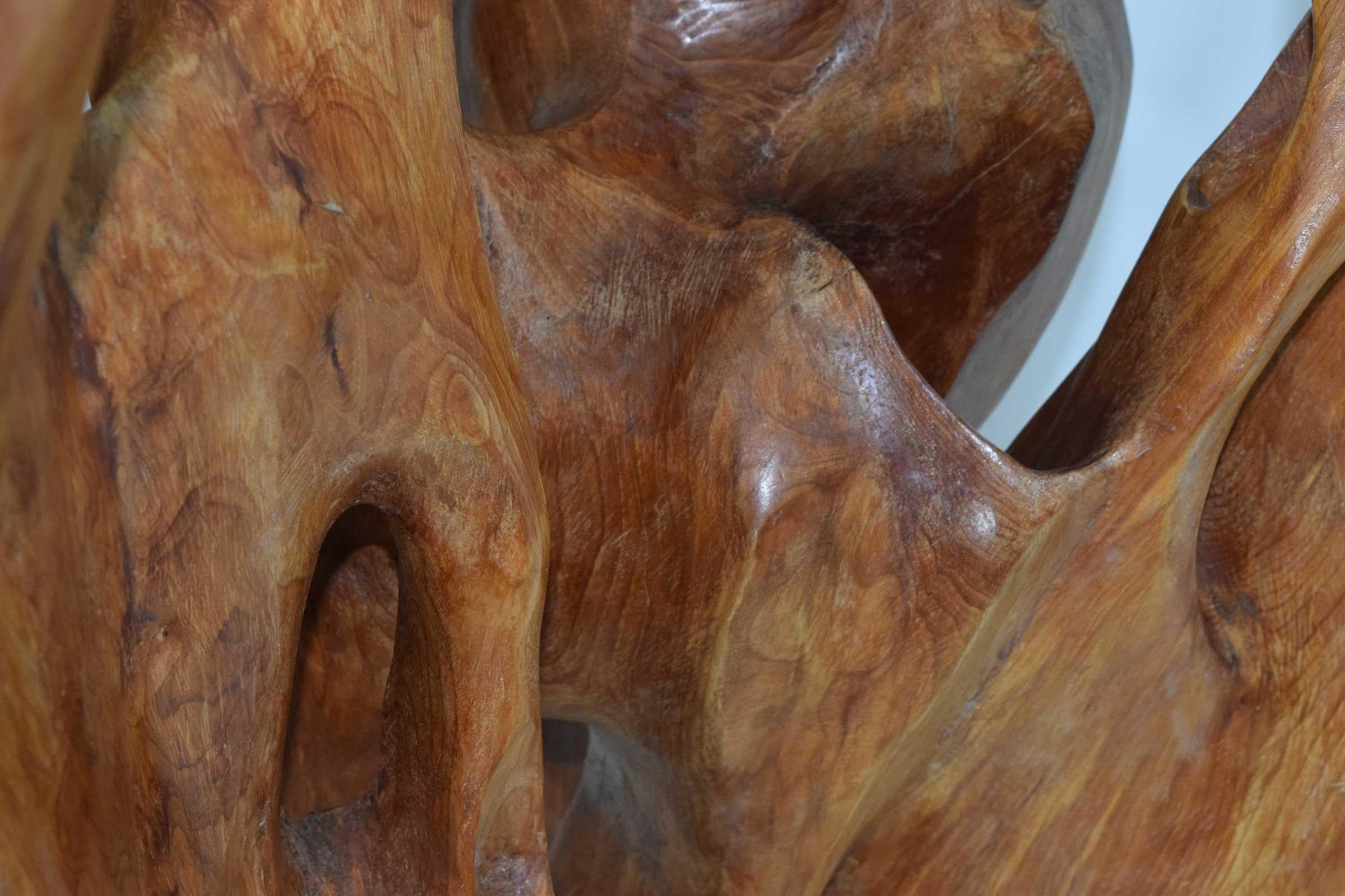 Large Organic Wood Sculpture 2