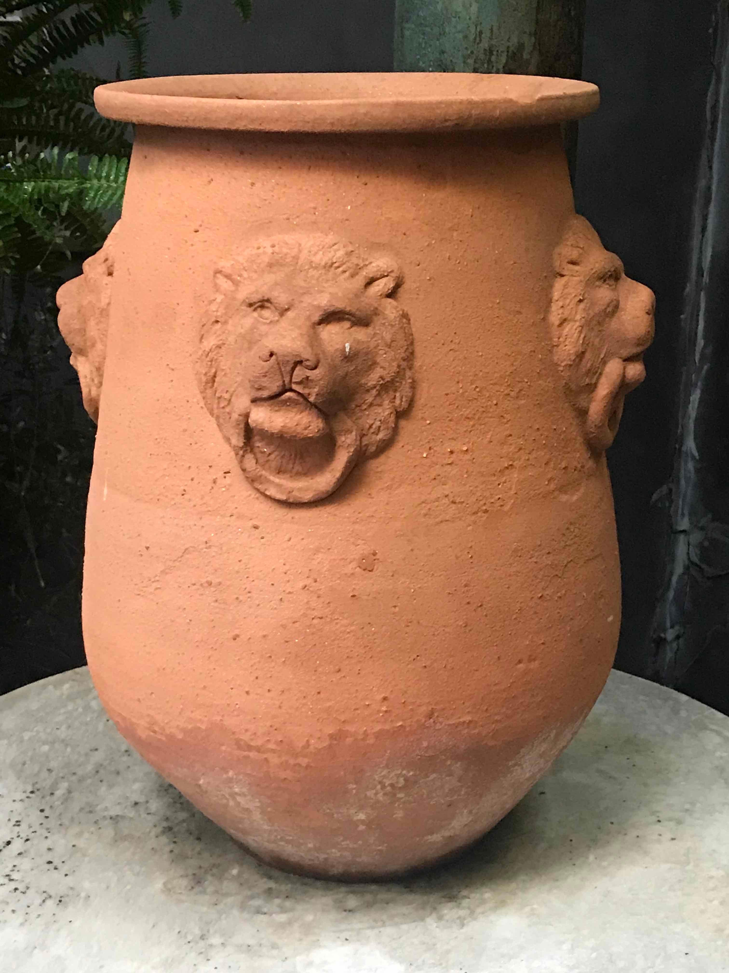 Large terra cotta garden pot with lion engraving from early 20th century England. 