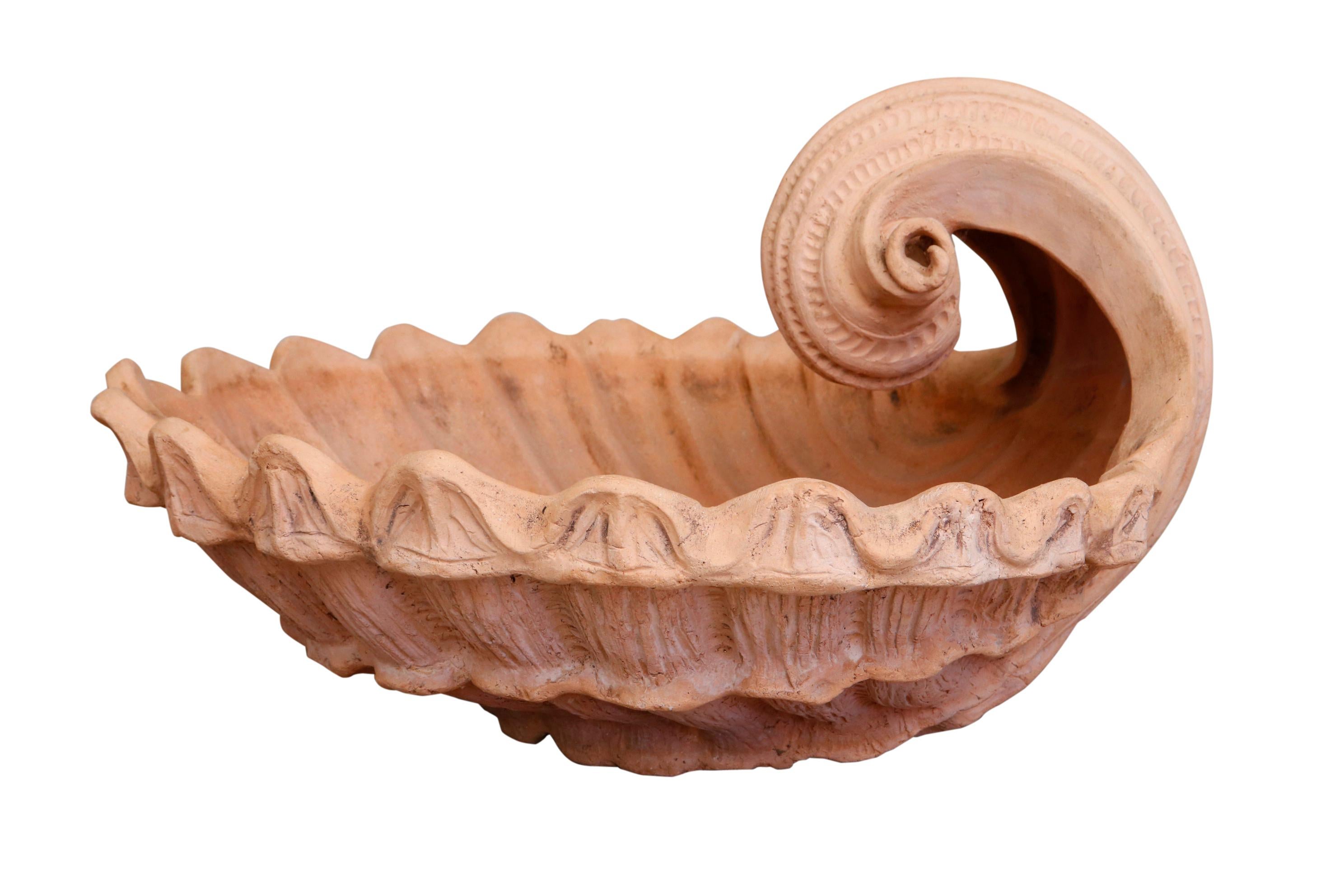 Spectacular terracotta shell basin. 30 inches in diameter Classic shape in beautiful condition use appropriate for inside or outside.