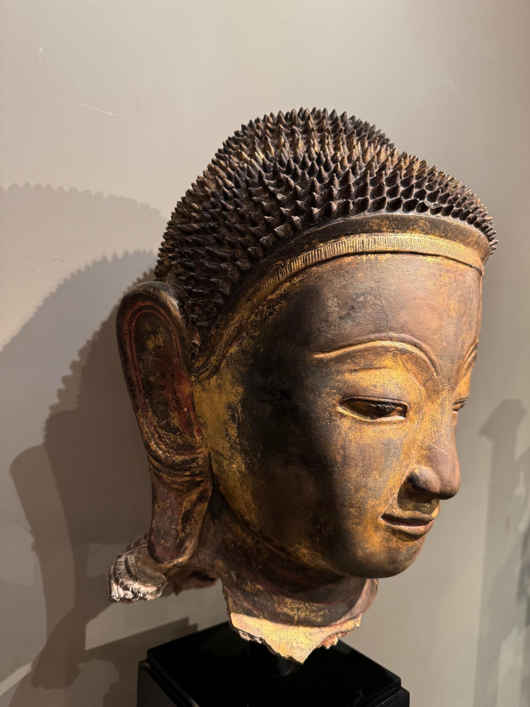 Other Large terracotta Buddha head, Burma, Shan States, late 18th Century For Sale