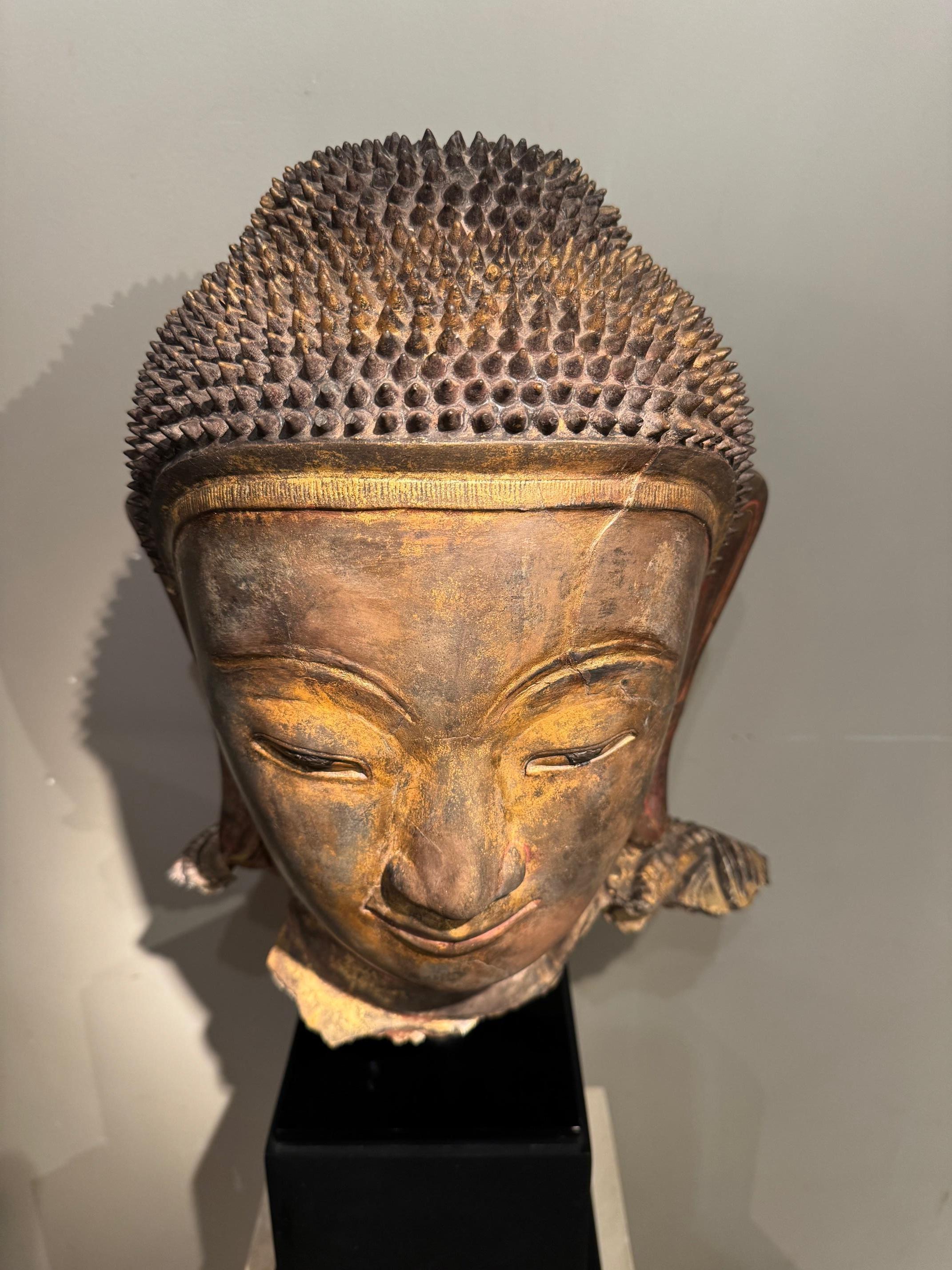 Large terracotta Buddha head, Burma, Shan States, late 18th Century For Sale 1