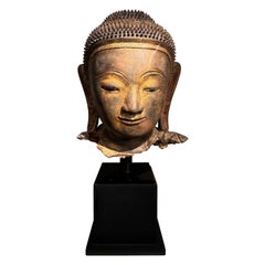 Grande testa di Buddha in terracotta, Birmania, Stati Shan, fine del XVIII secolo