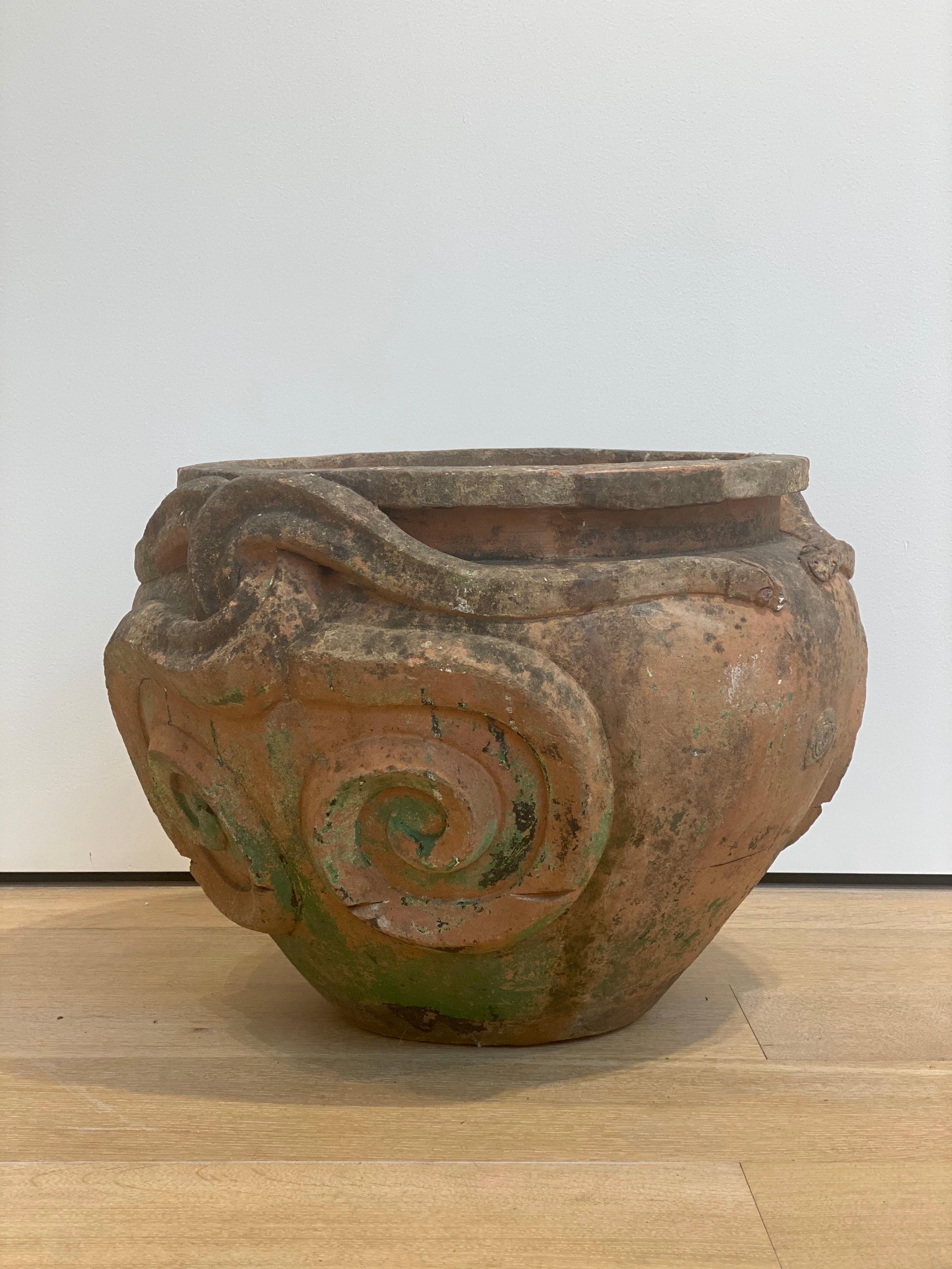 snake clay pot