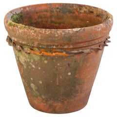 Planters and Jardinieres