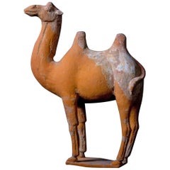 Large Terracotta Standing Camel, Tang Dynasty, China, 618-907 AD