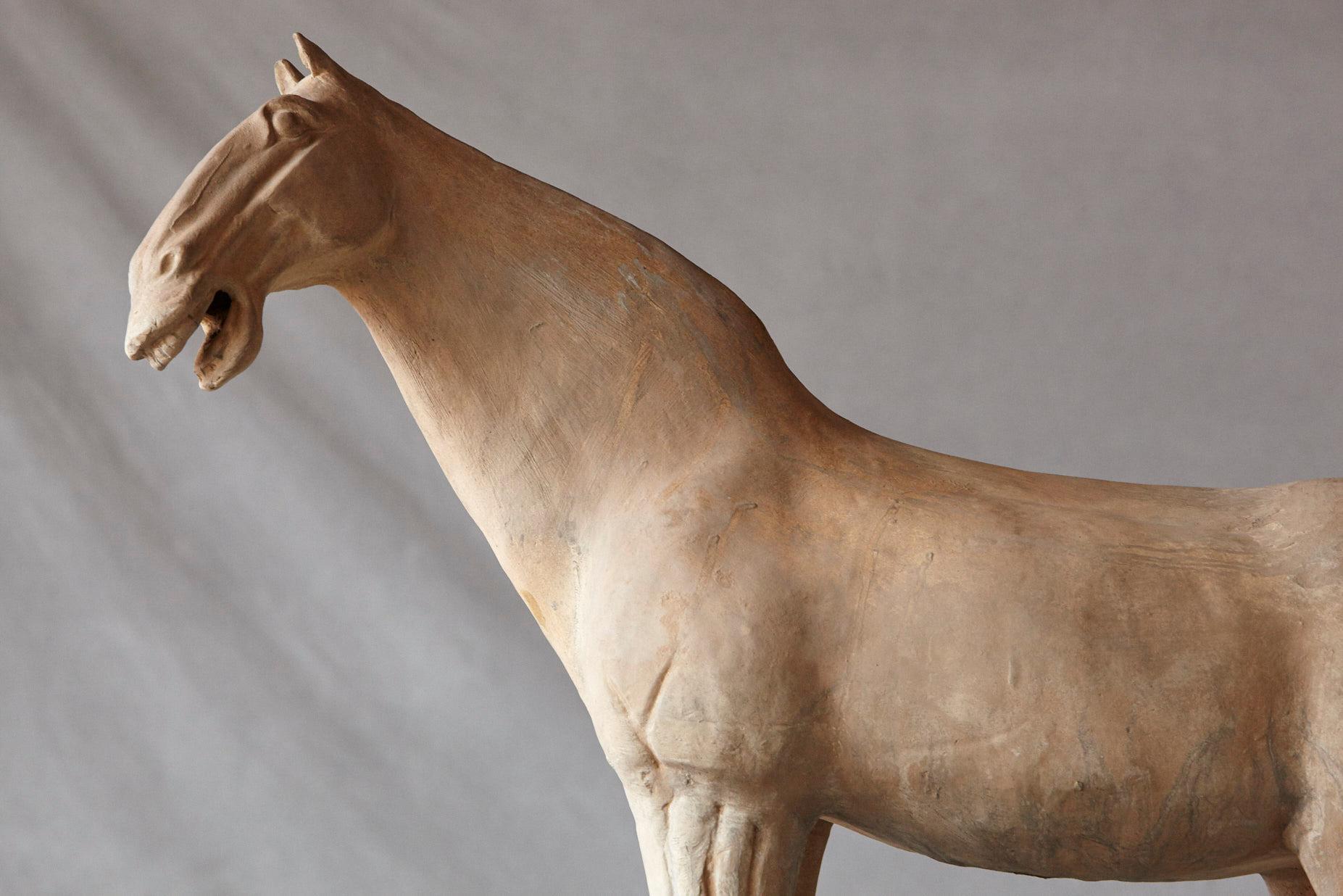 Large Terracotta Tang Dynasty Style Horse Sculpture 6