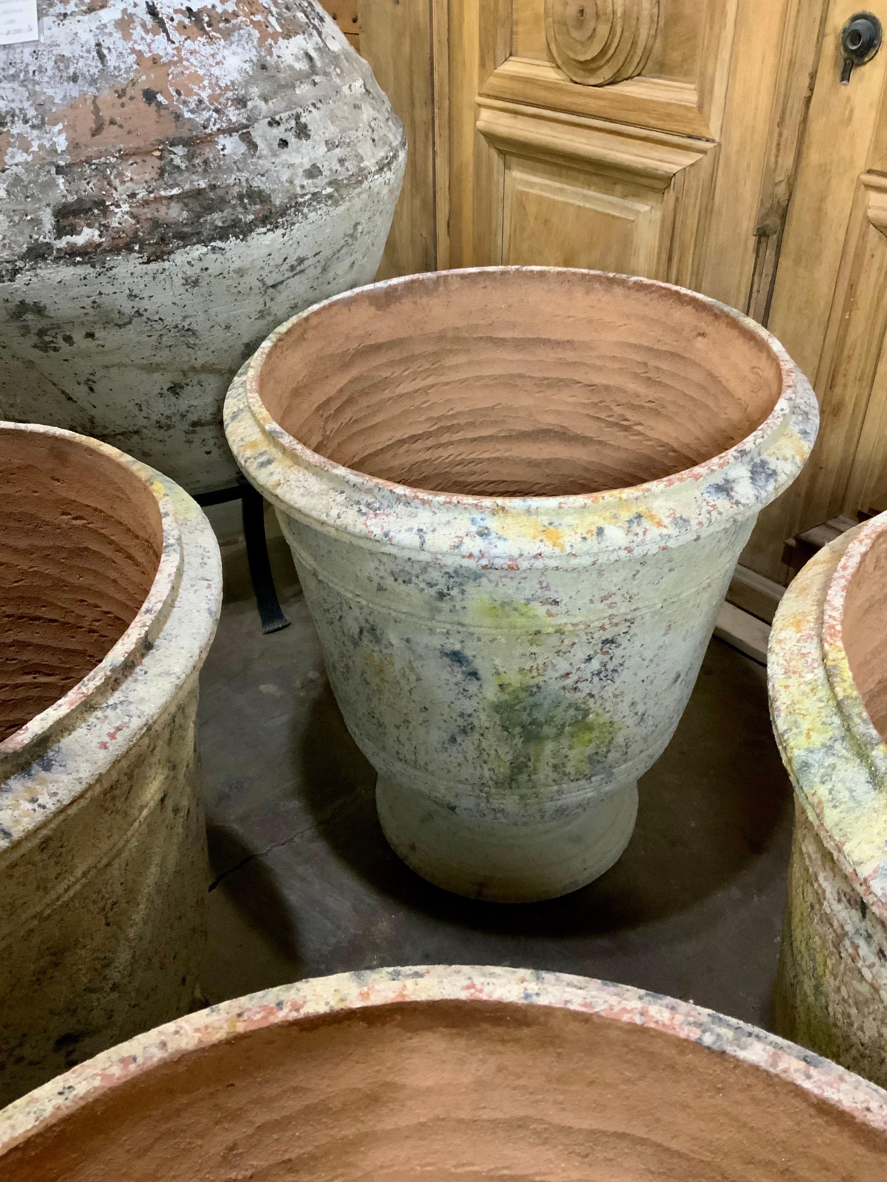Handgefertigte Terrakotta-Urne aus der Provence (Französisch) im Angebot