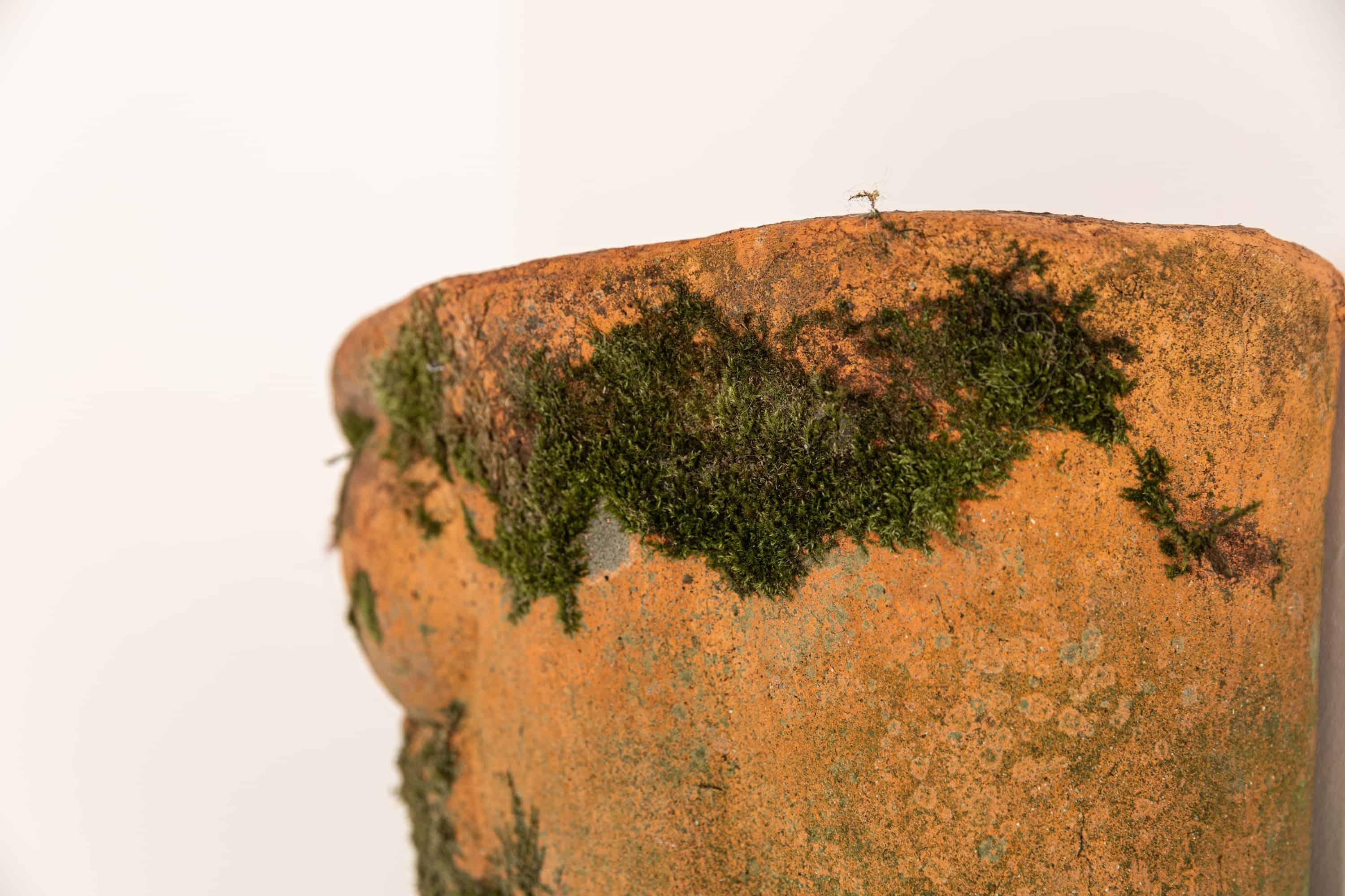 Großes konisches Terrakotta-Garten-Pflanzgefäß für die Wandmontage (Handgefertigt) im Angebot