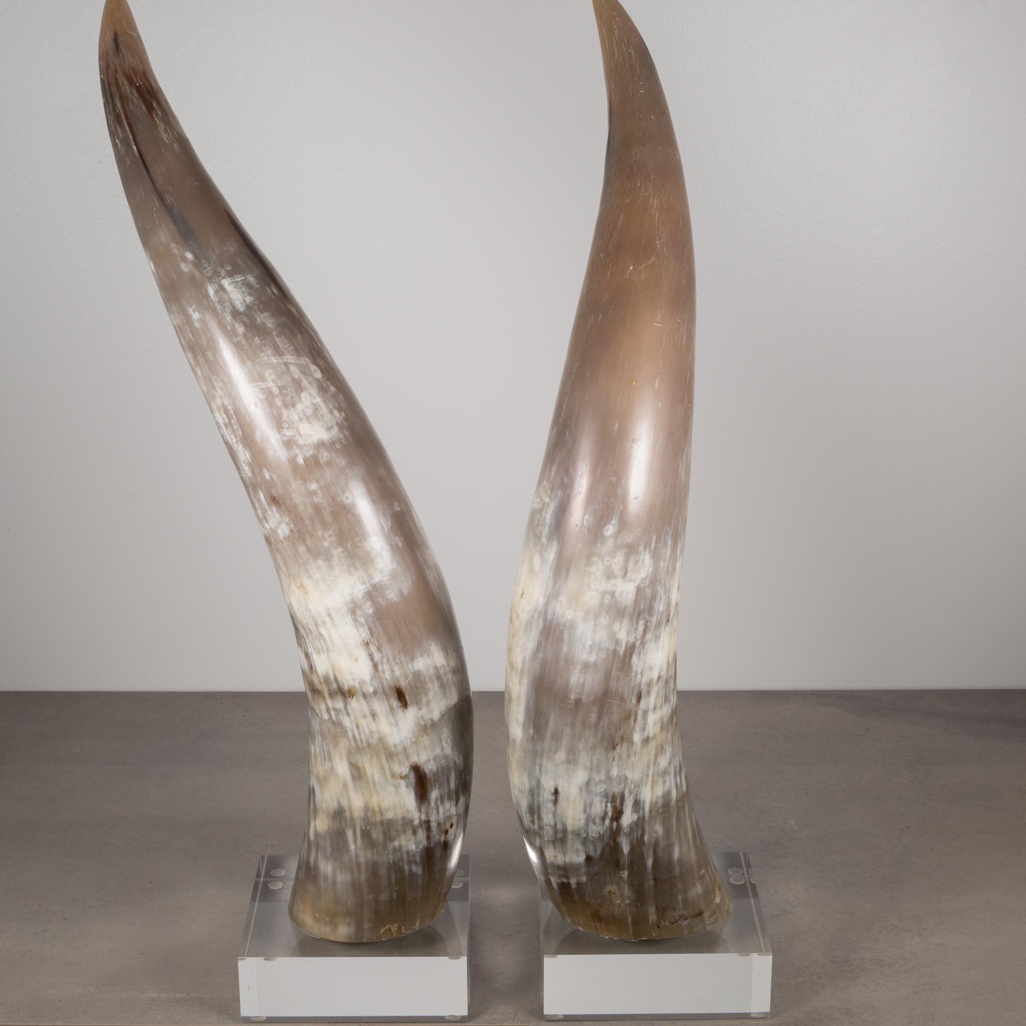 About

This an original pair of custom made Texas Longhorn cattle horns mounted on thick acrylic blocks. These grey, white and tan horns measure 25
