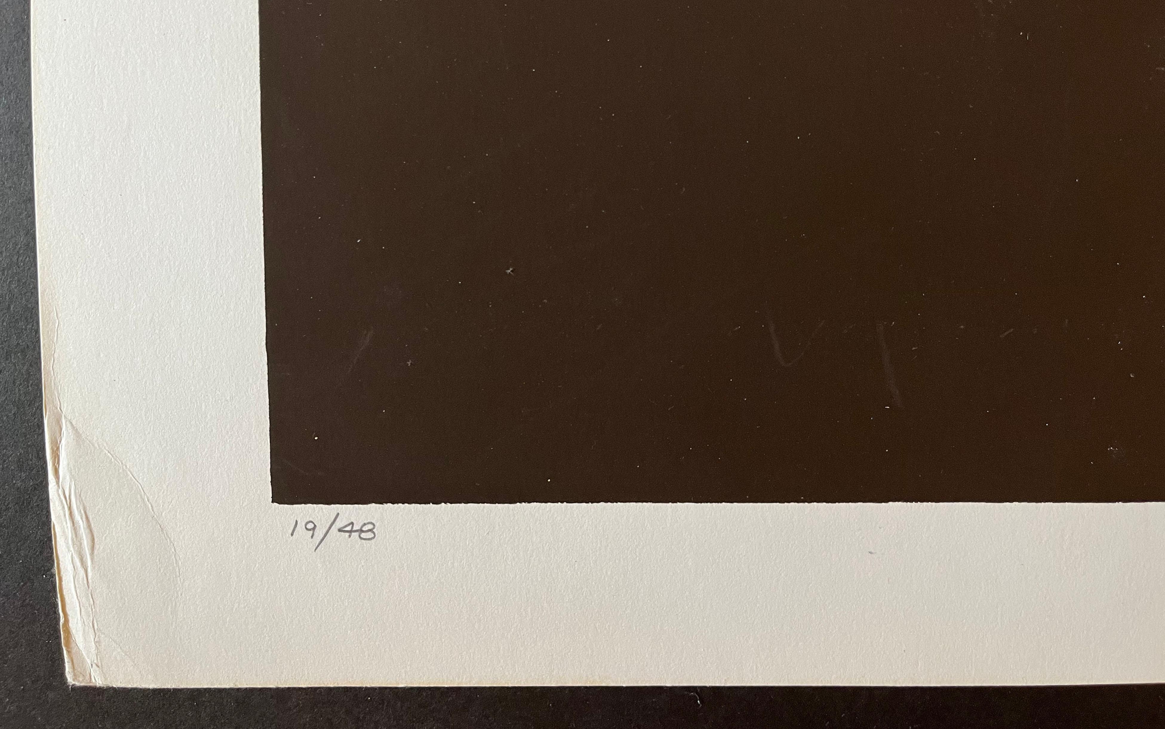Große Thomas W. Benton 1970er Jahre Attraktive Drucke / Satz von 4 im Angebot 6