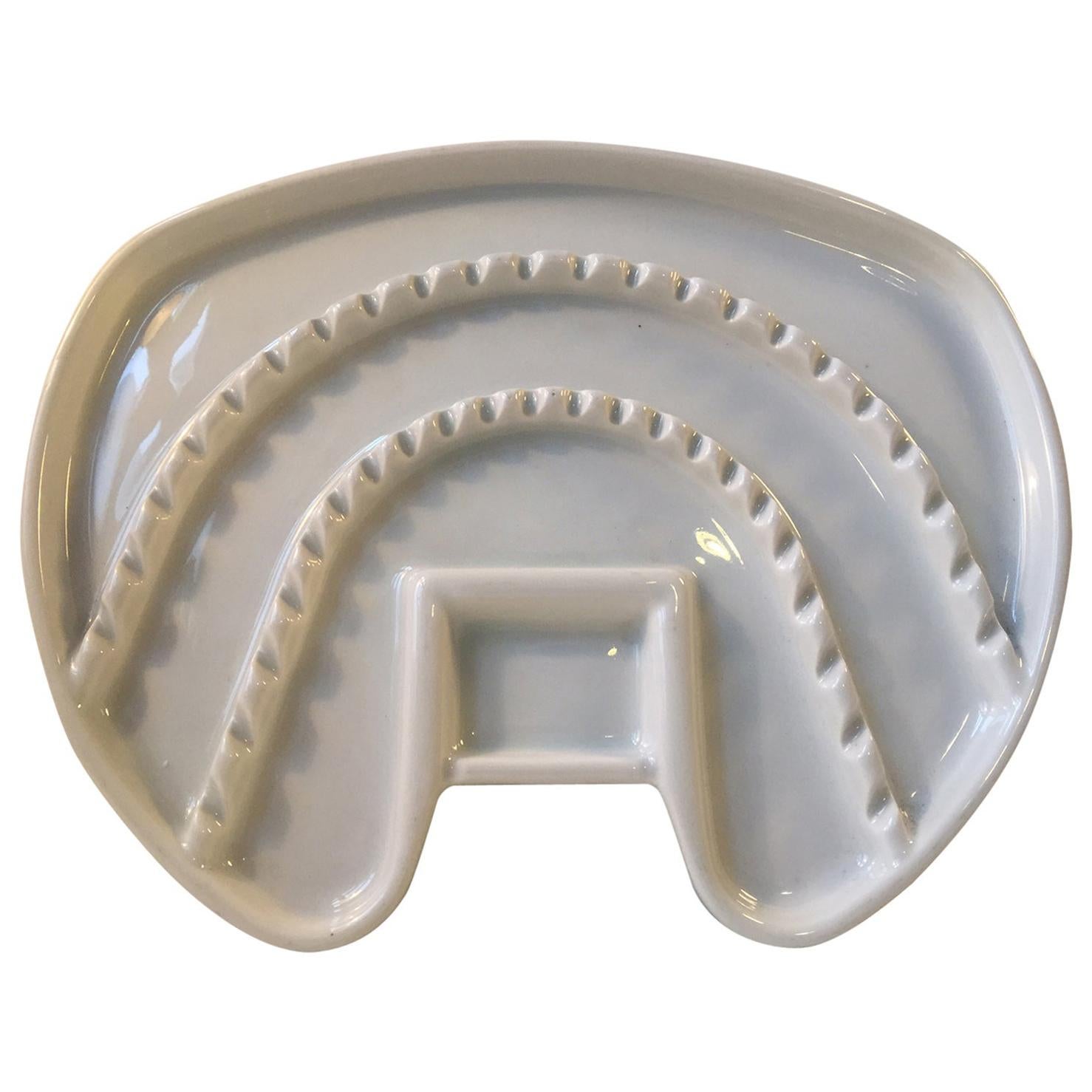 Large Tooth, Bauhaus Era Porcelain Tray for Dental Instruments, Germany, 1930s