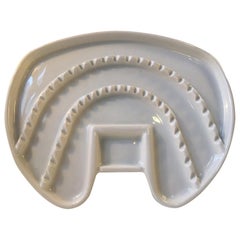 Vintage Large Tooth, Bauhaus Era Porcelain Tray for Dental Instruments, Germany, 1930s