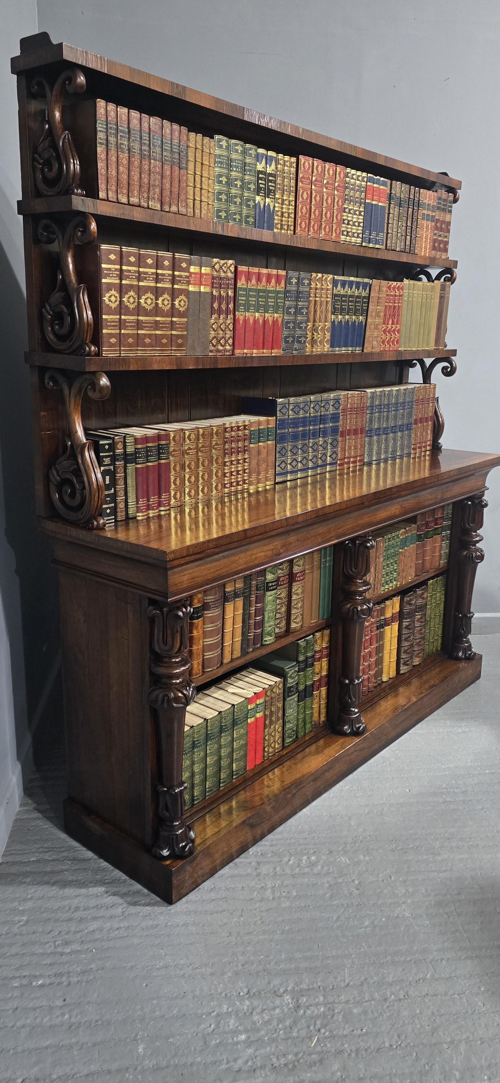 Großes Wasserfall-Bücherregal in hoher Qualität, William 4th Open Library (William IV.) im Angebot