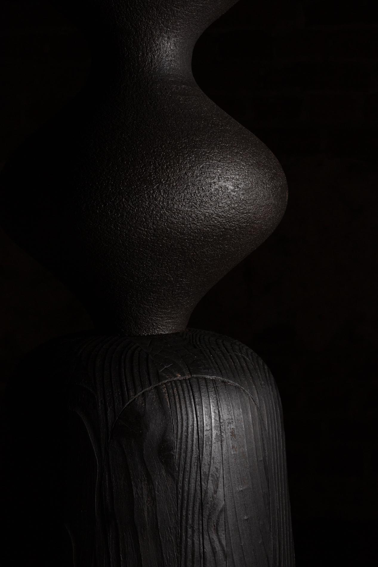 Grande Totem di carbonio di Maxence de Bagneux in vendita 7