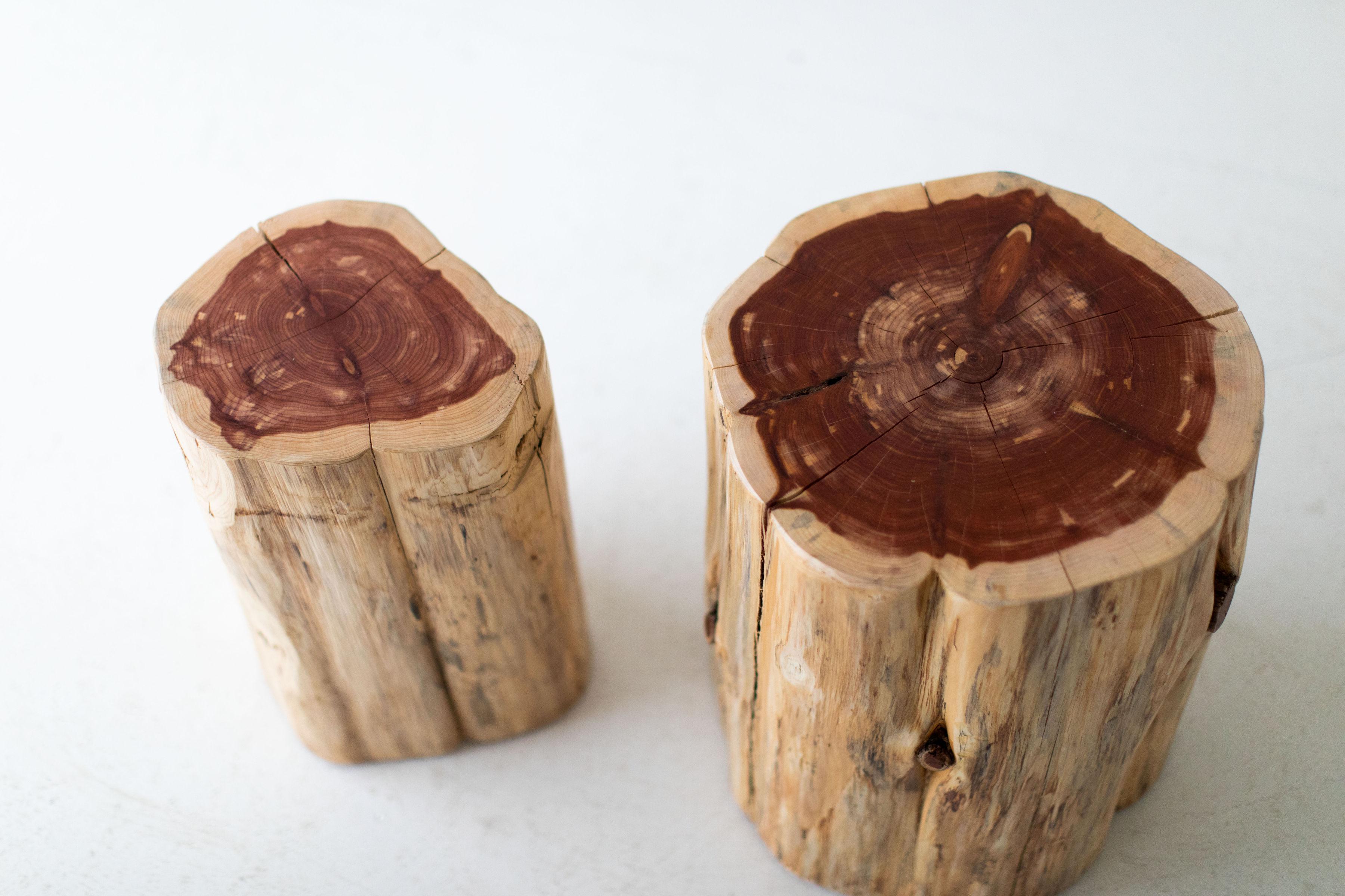 Large Tree Stump Side Tables, Natural For Sale 1