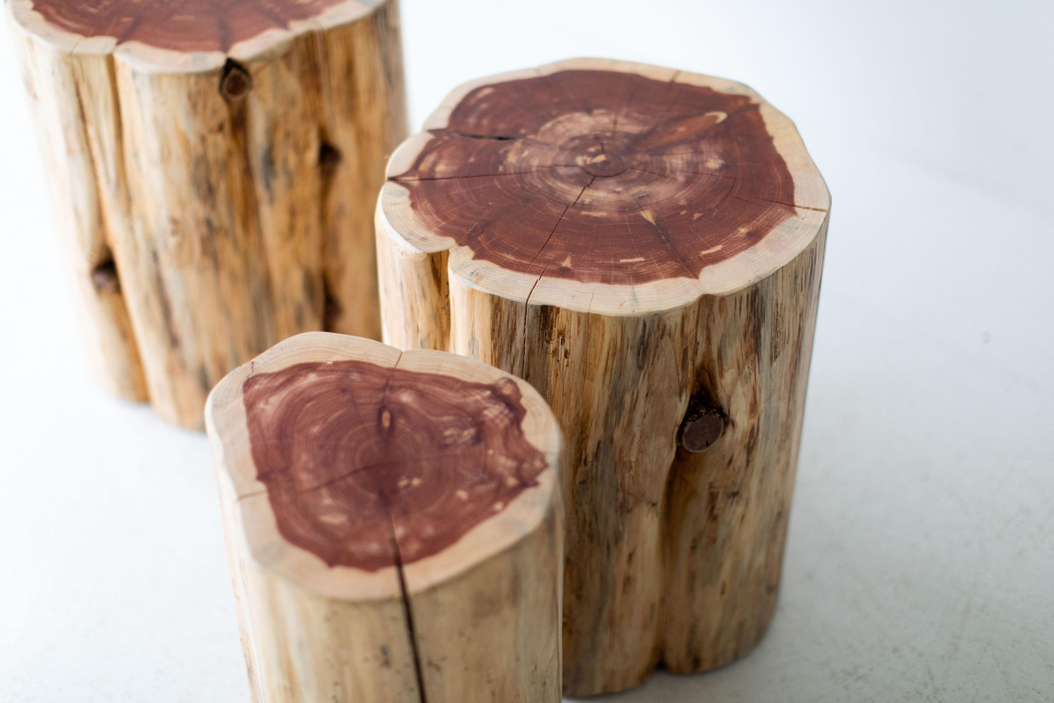Mid-Century Modern Large Tree Stump Side Tables, Natural For Sale