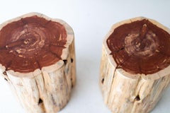 Large Tree Stump Side Tables, Natural