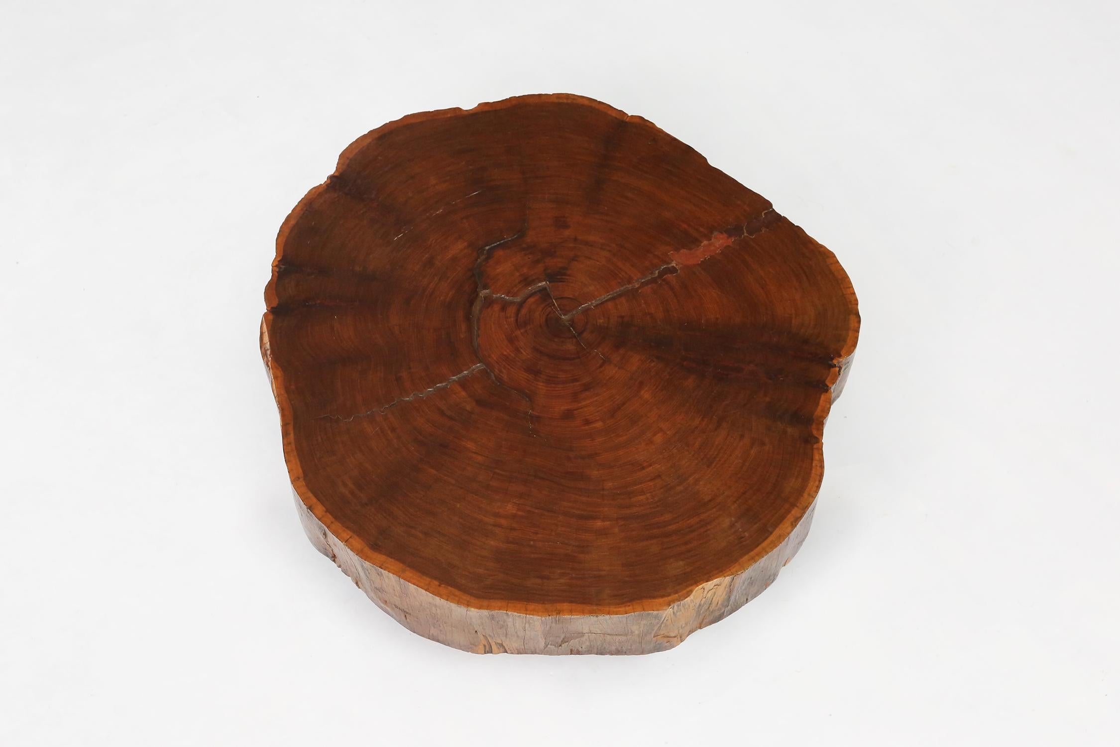 Rustic Large Tree Trunk Coffee Table, 1960s