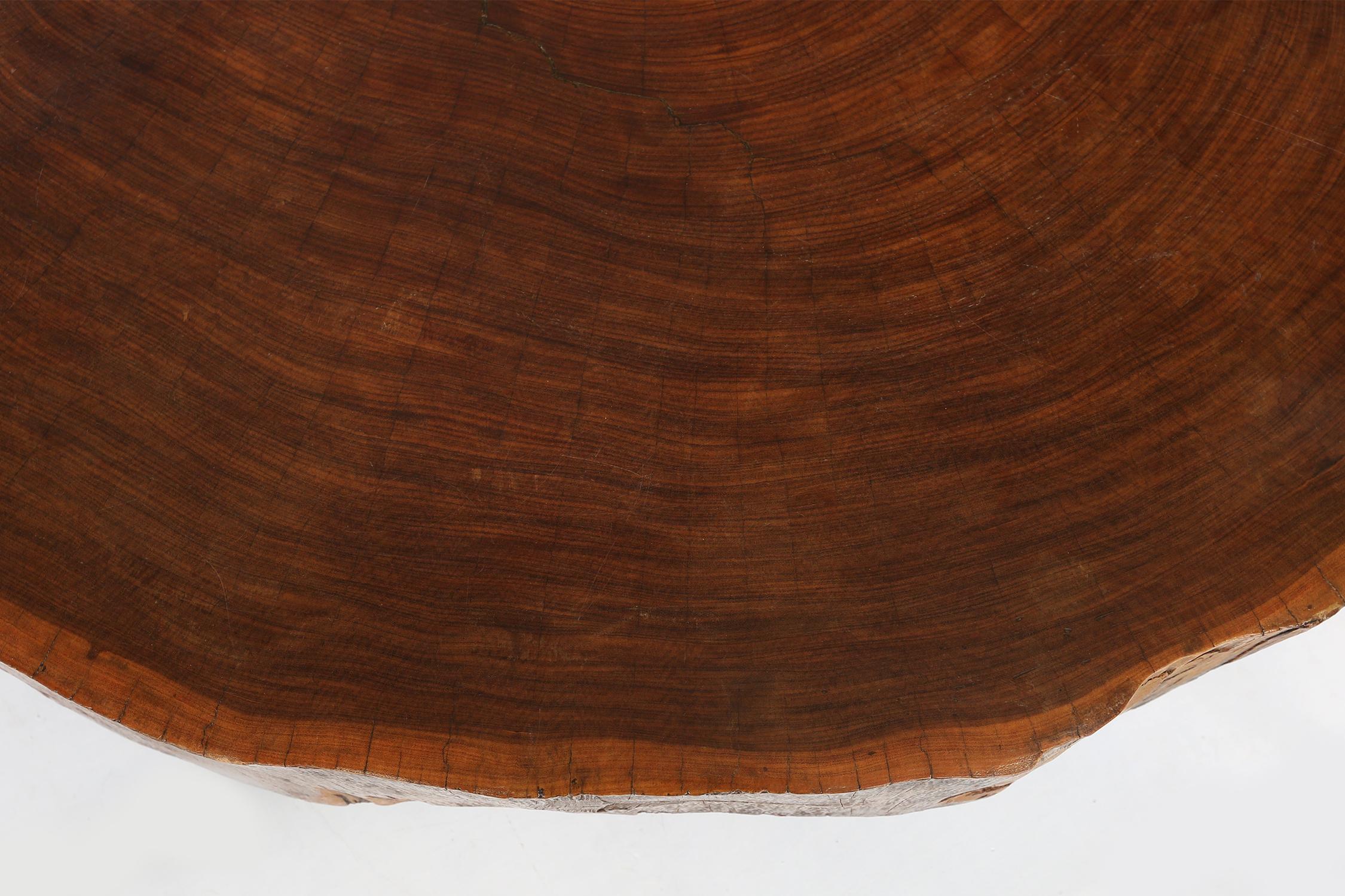 Belgian Large Tree Trunk Coffee Table, 1960s