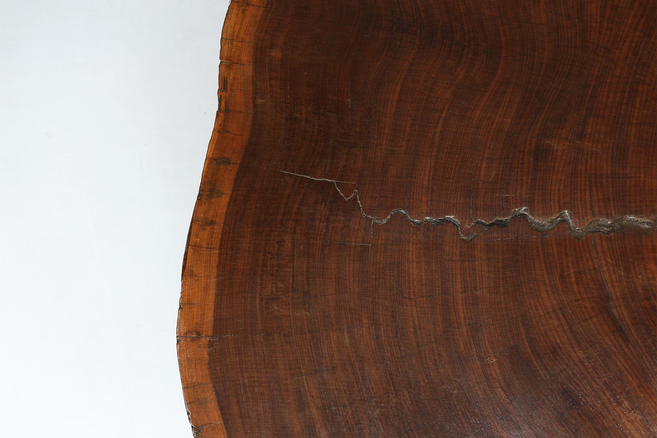 Large Tree Trunk Coffee Table, 1960s In Good Condition In Meulebeke, BE