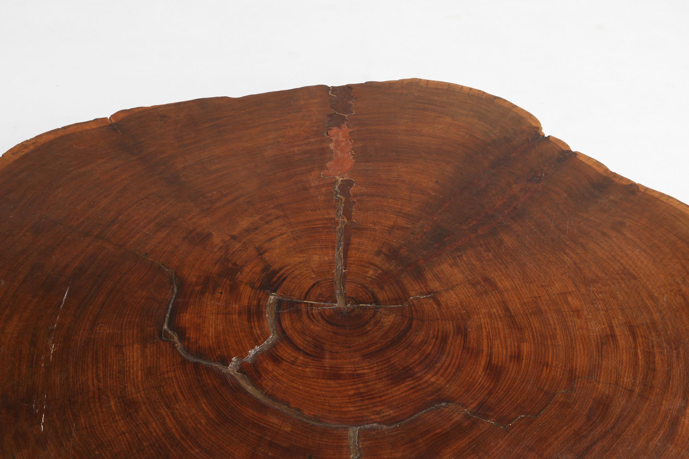 Mid-20th Century Large Tree Trunk Coffee Table, 1960s