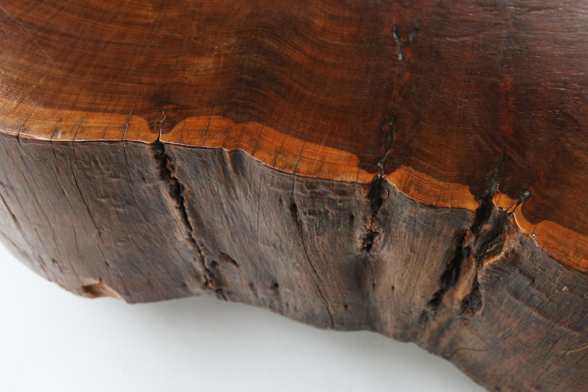 Large Tree Trunk Coffee Table, 1960s 1