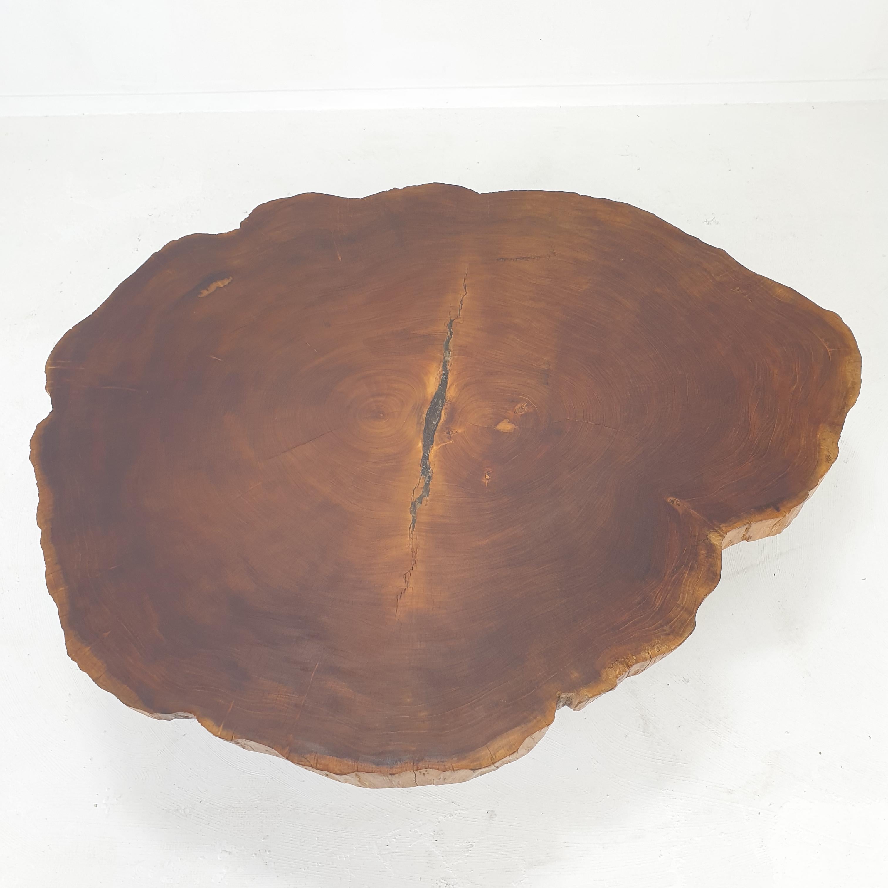 Large Tree Trunk Coffee Table, 1970's at 1stDibs