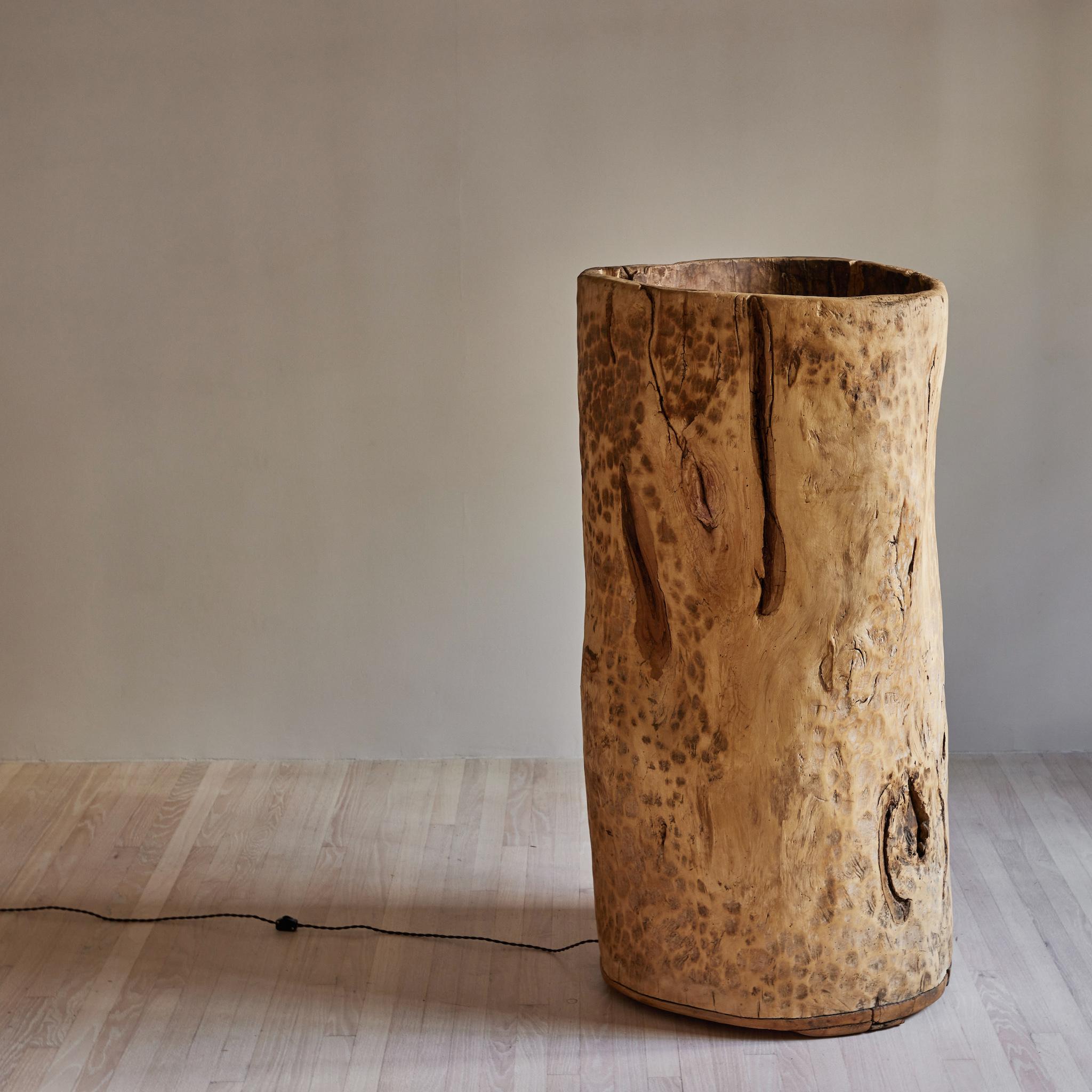 Edwardian Large Tree Trunk Sculpture with Up-Light