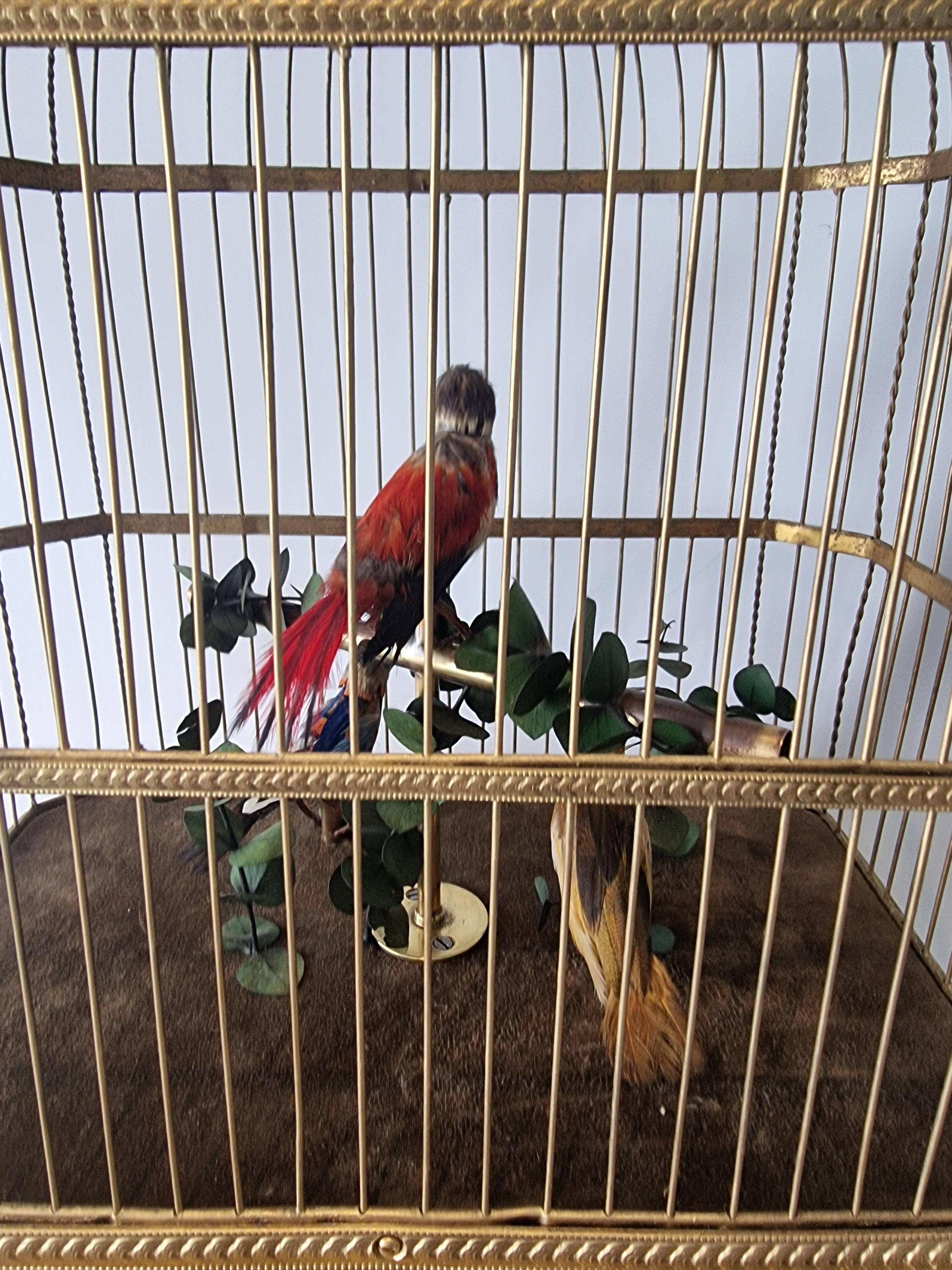 Early 20th Century Large triple antique singing bird-in-cage, by Phallibois For Sale