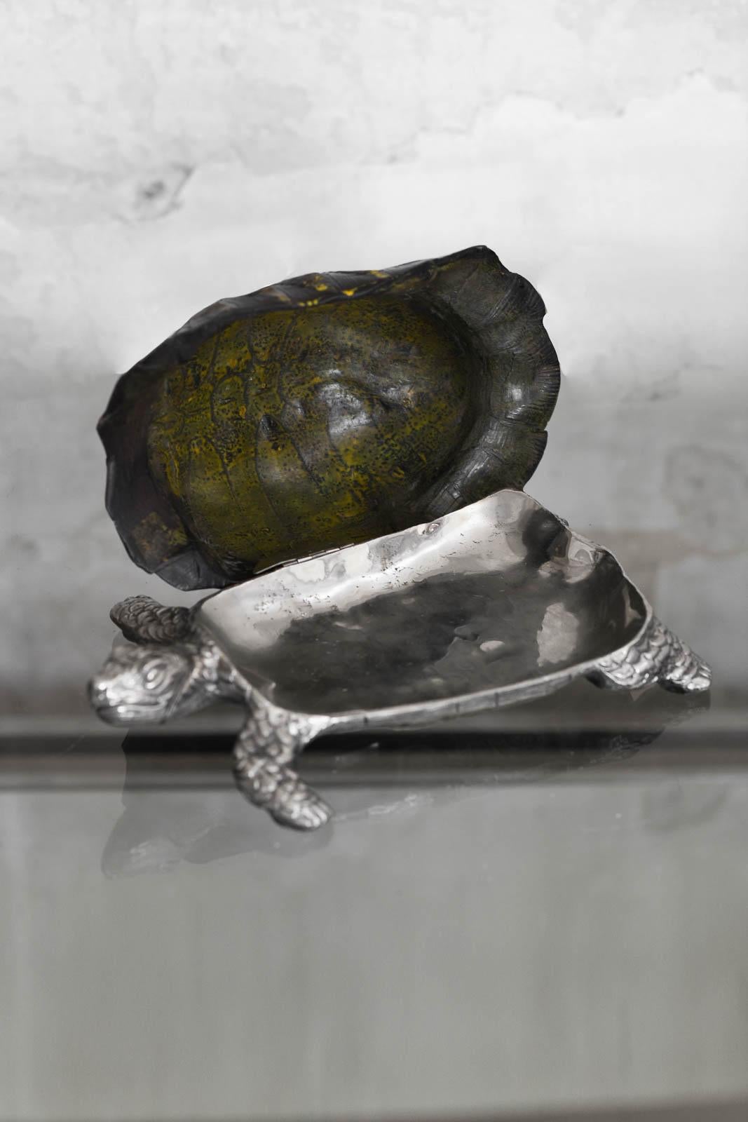 Late 20th Century Large Turtle Pocket Emptier By Gabriella Crespi, 1970s