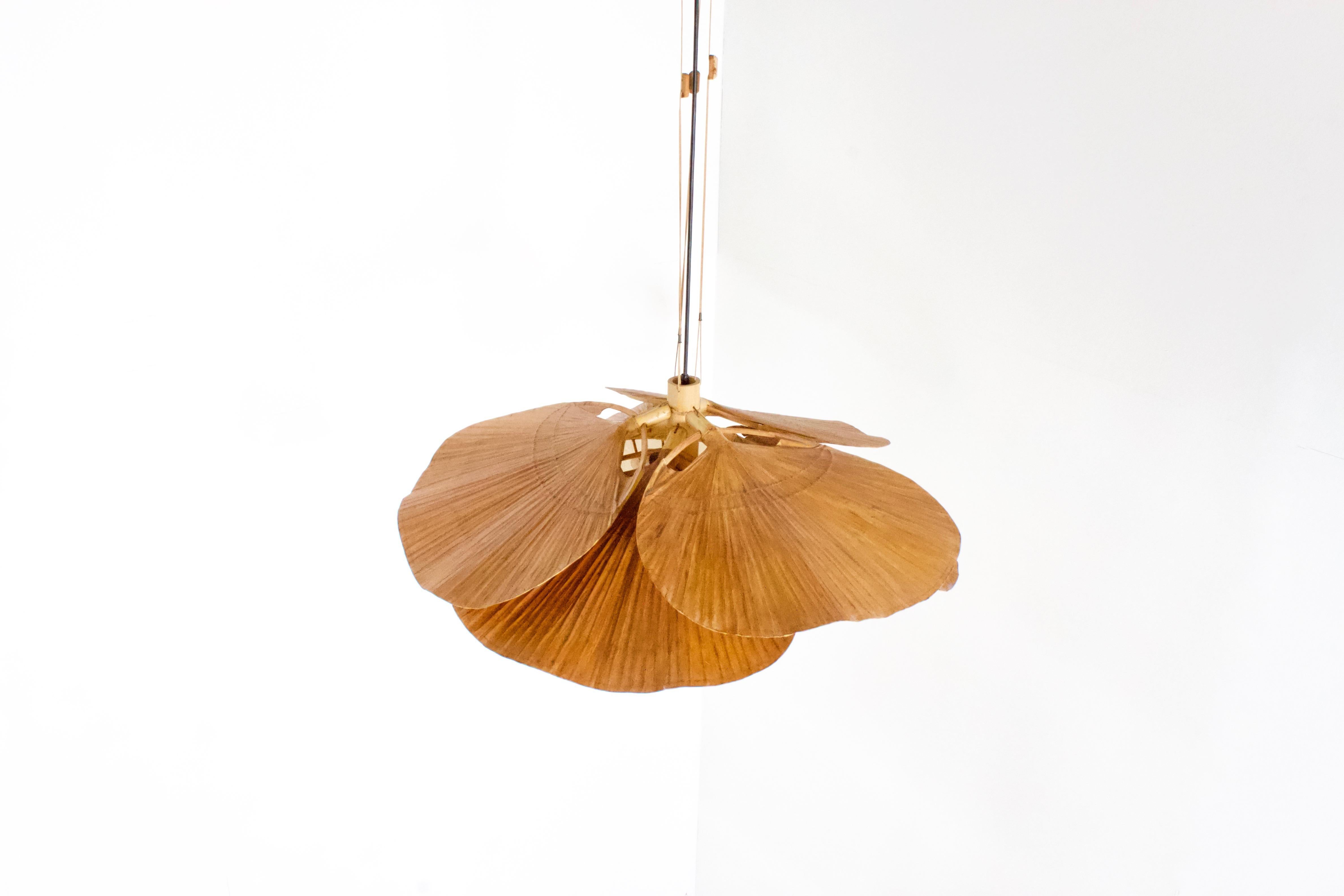 Rare large ‘Uchiwa’ chandelier by Ingo Maurer in very good condition. 

Designed by Ingo Maurer for M design, Germany. 

This lamp is handmade from bamboo, fabric and Japanese rice paper. 

The lamp consists of six large fans hanging from a